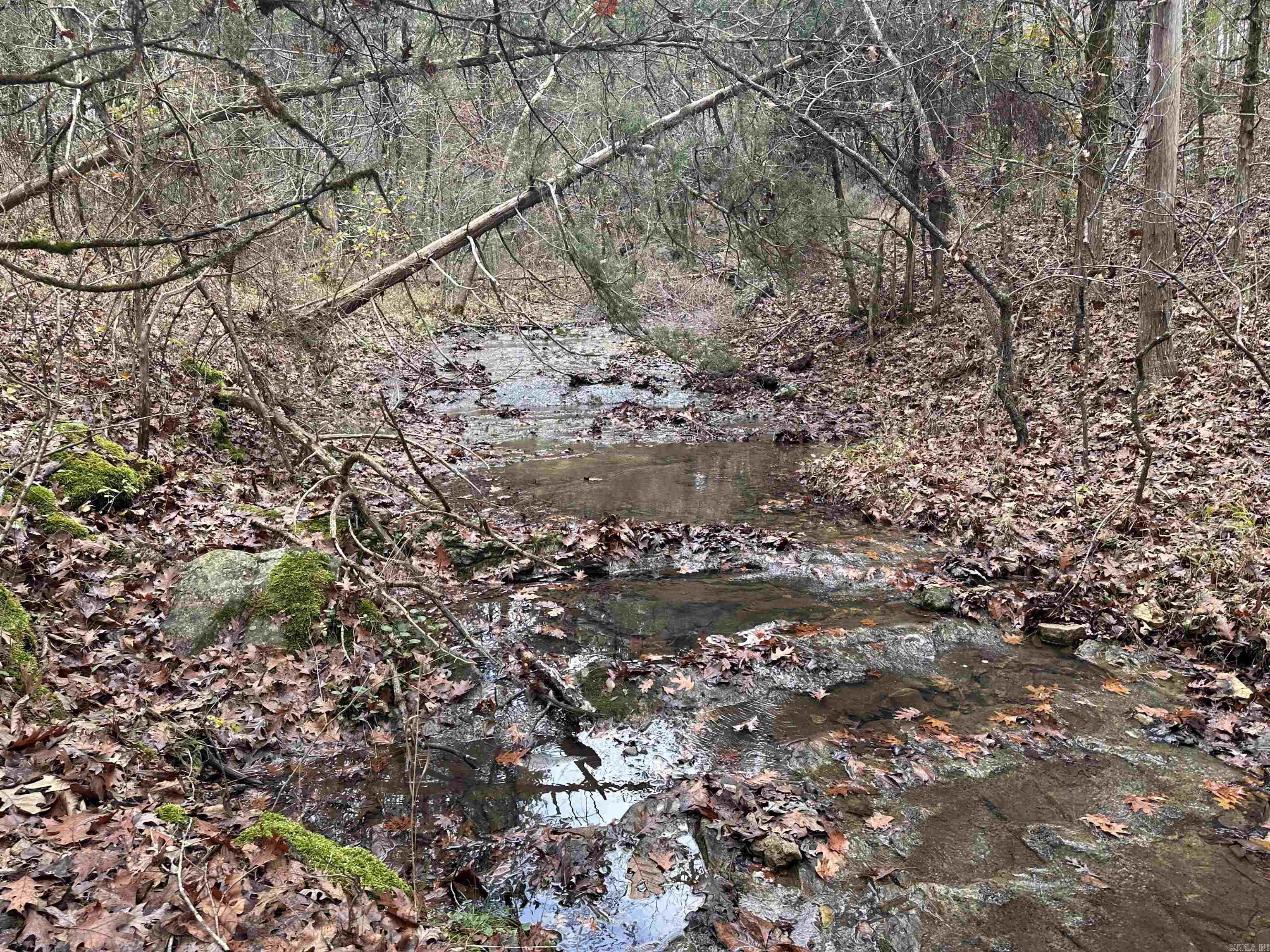 Photo 24 - Vacant Land for sale –   Hulett Rd   Evening Shade, AR