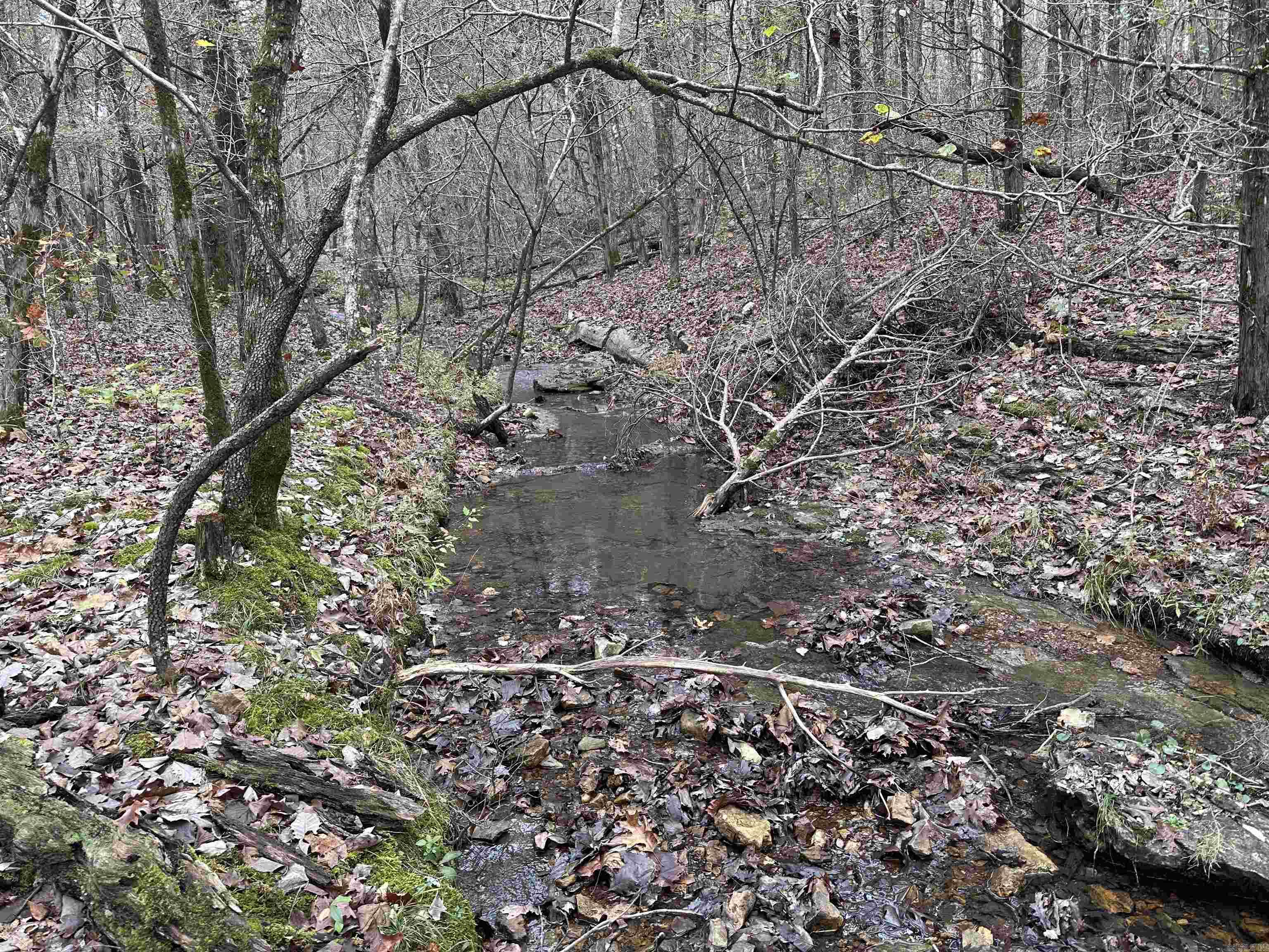 Photo 25 - Vacant Land for sale –   Hulett Rd   Evening Shade, AR