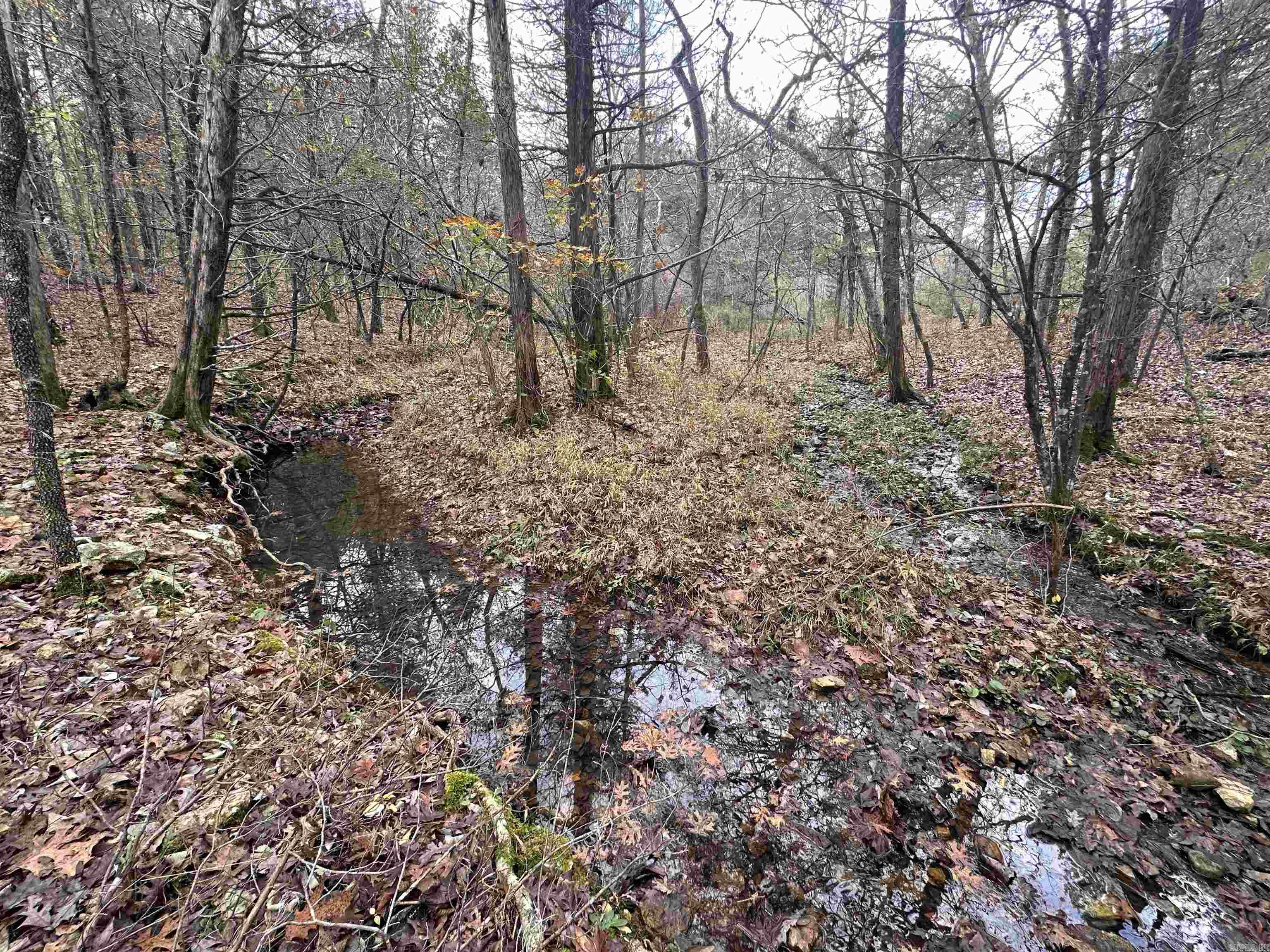 Photo 28 - Vacant Land for sale –   Hulett Rd   Evening Shade, AR