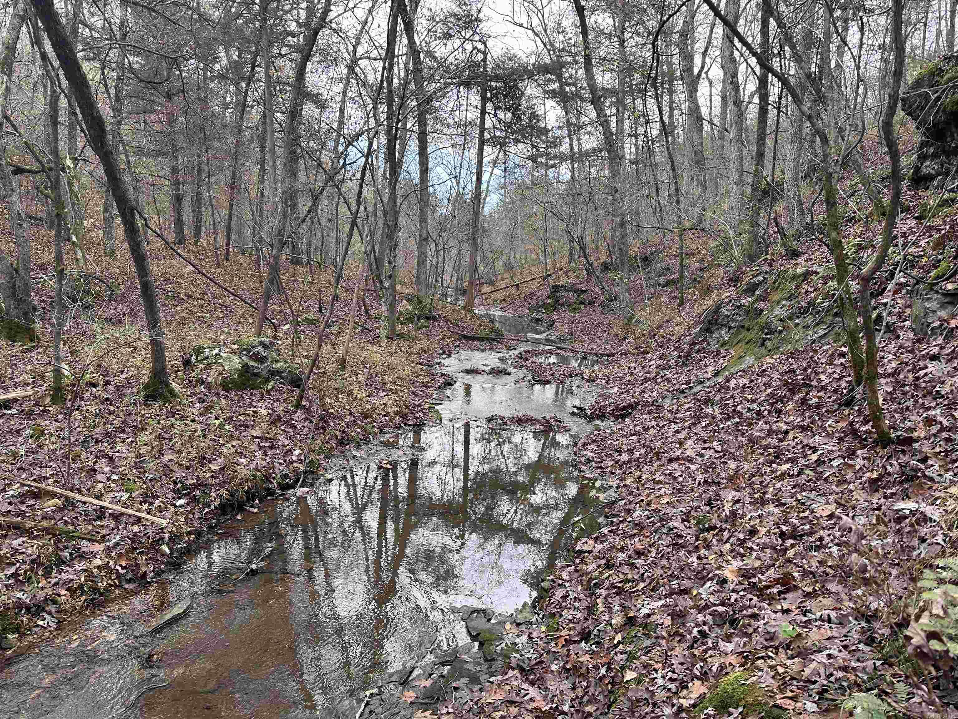 Photo 4 - Vacant Land for sale –   Hulett Rd   Evening Shade, AR