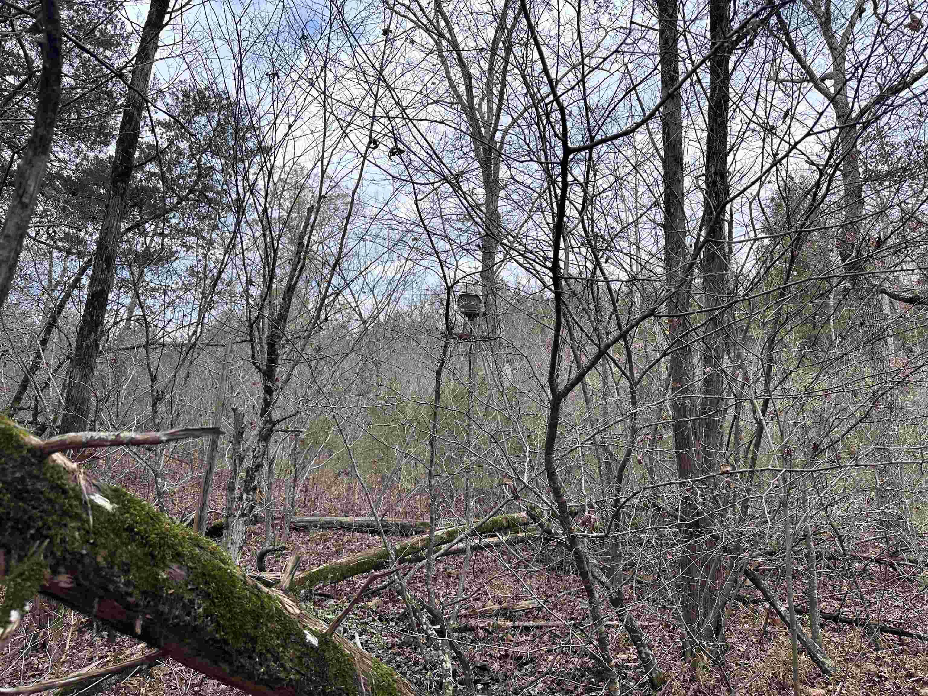 Photo 31 - Vacant Land for sale –   Hulett Rd   Evening Shade, AR