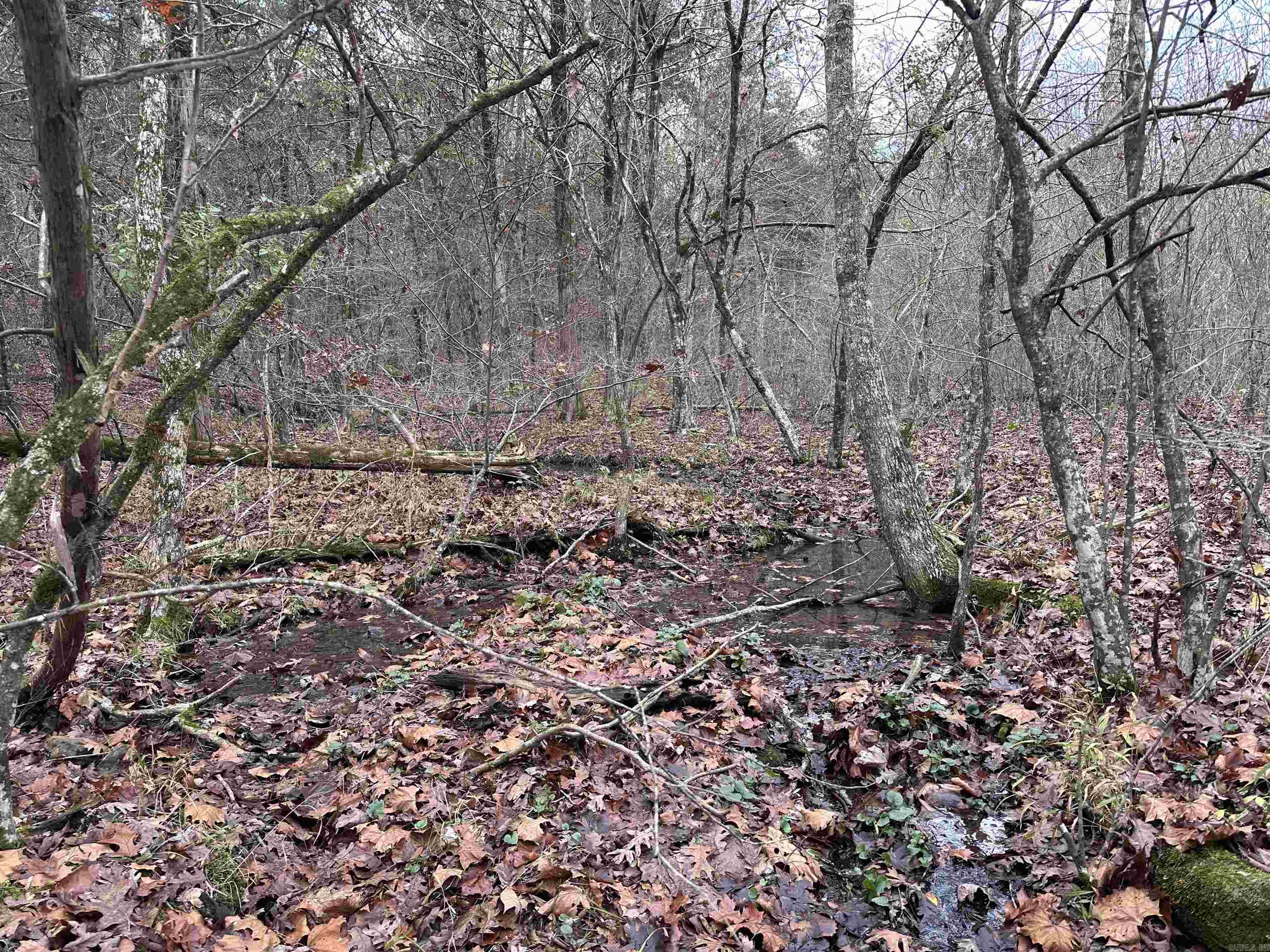Photo 32 - Vacant Land for sale –   Hulett Rd   Evening Shade, AR