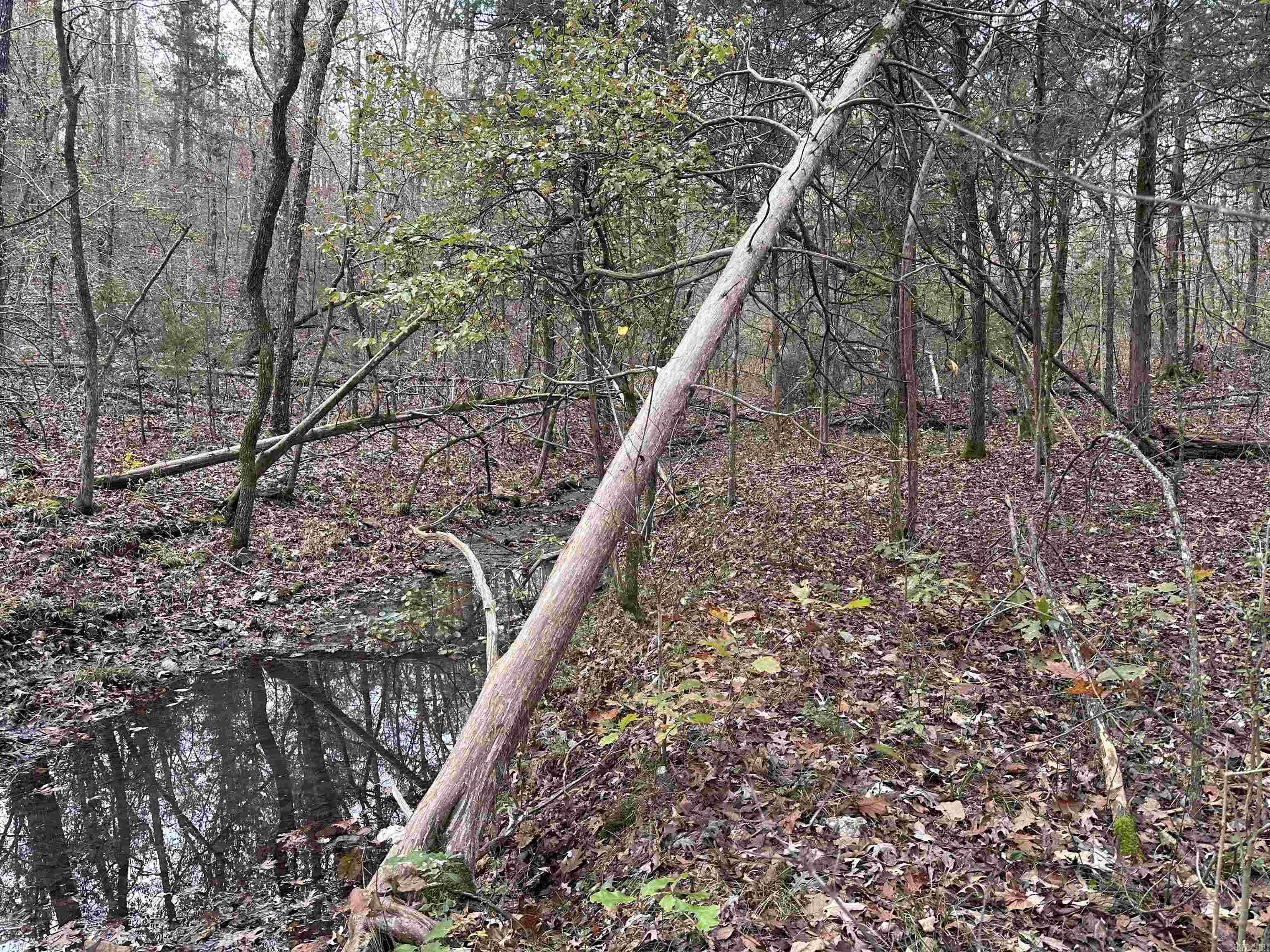 Photo 33 - Vacant Land for sale –   Hulett Rd   Evening Shade, AR