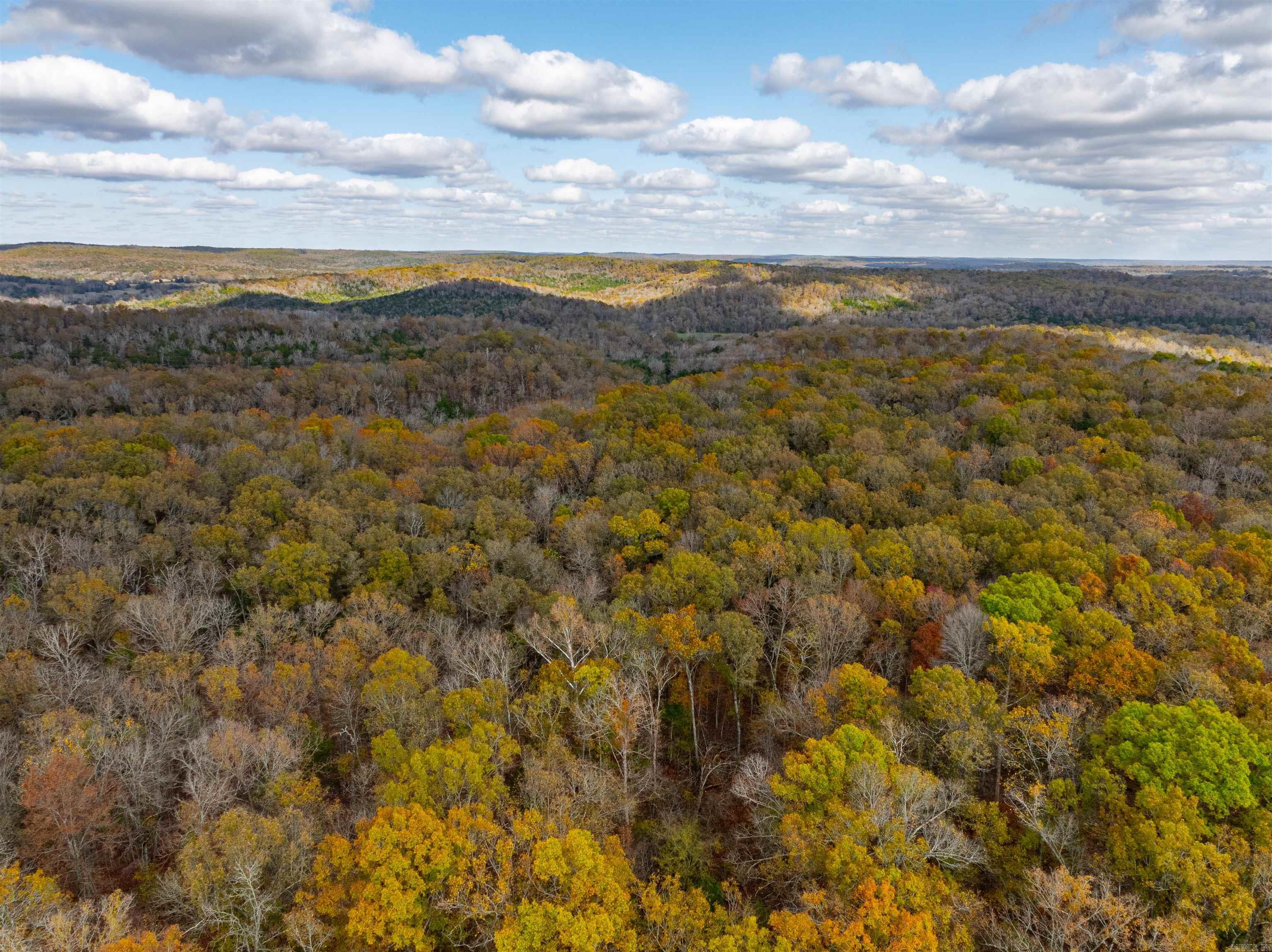 Photo 36 - Vacant Land for sale –   Hulett Rd   Evening Shade, AR
