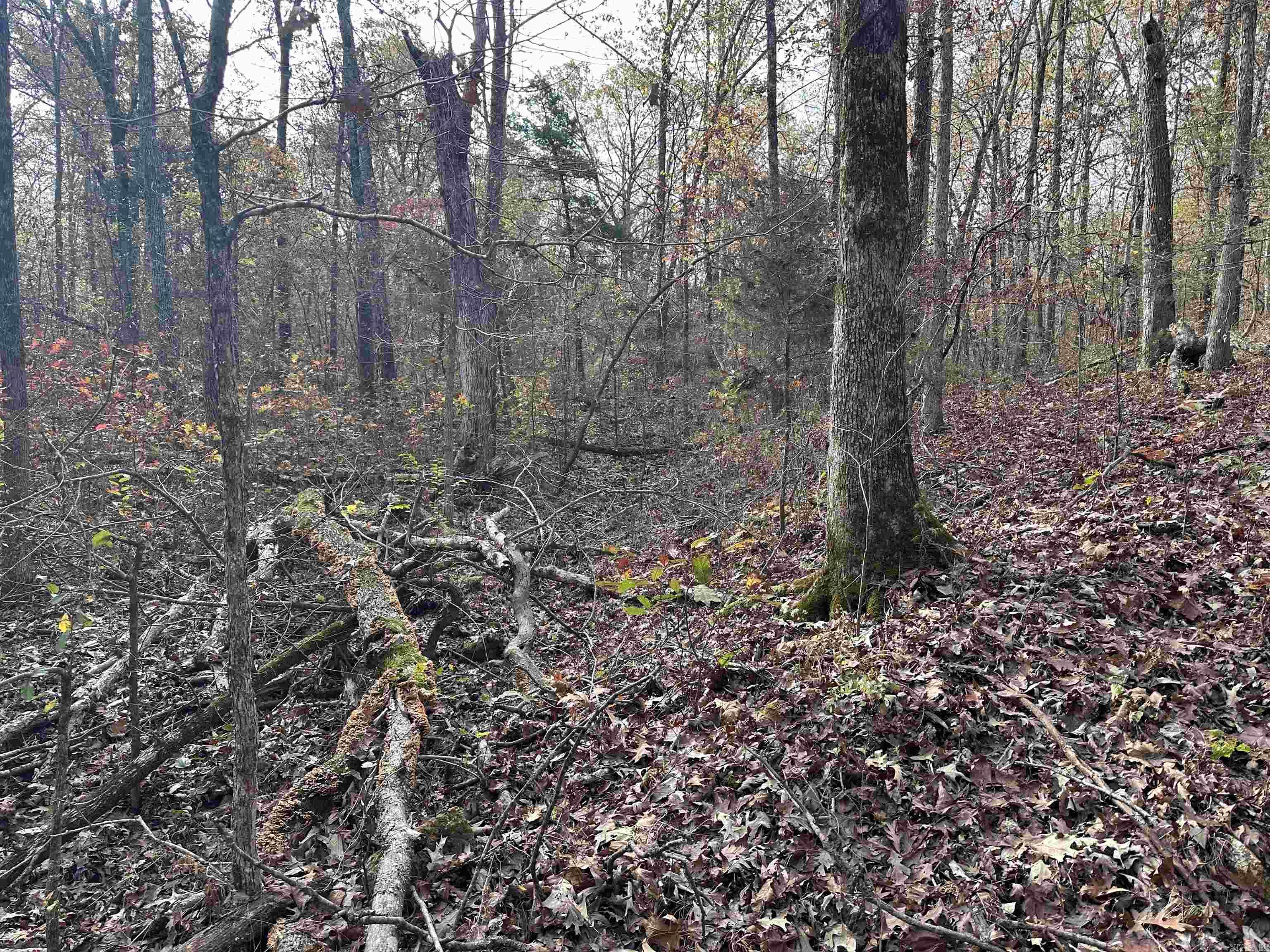 Photo 5 - Vacant Land for sale –   Hulett Rd   Evening Shade, AR