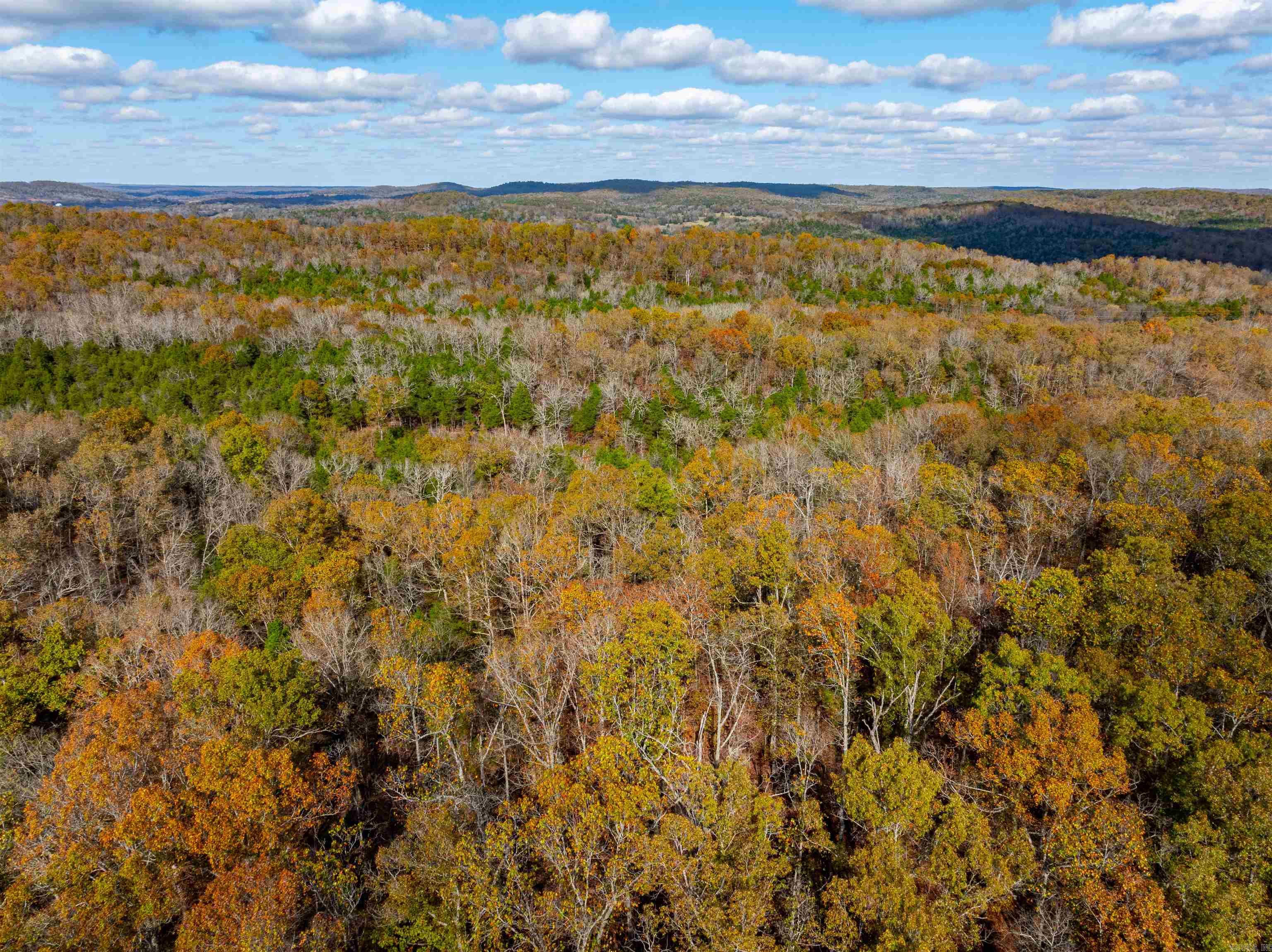 Photo 42 - Vacant Land for sale –   Hulett Rd   Evening Shade, AR