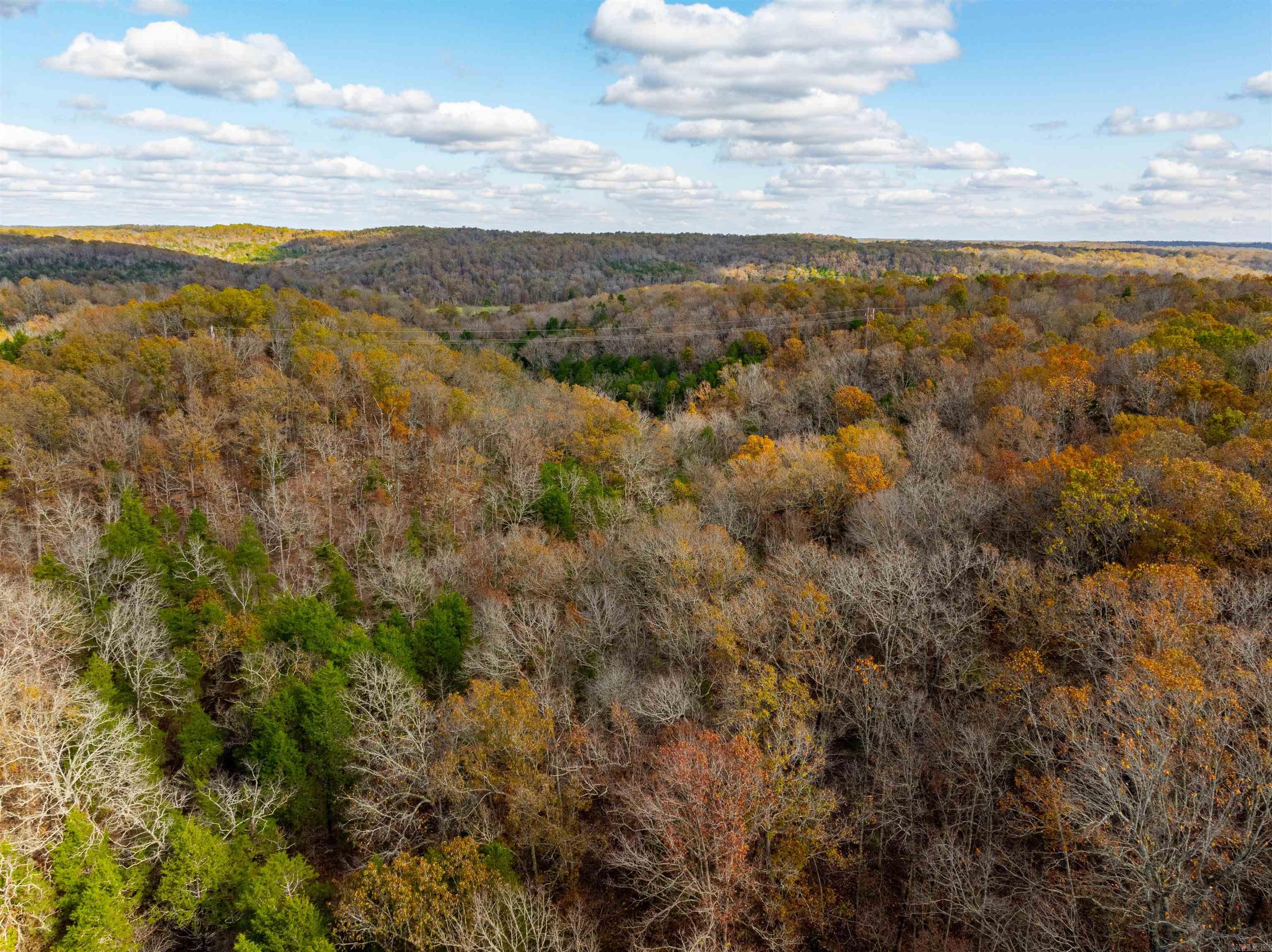 Photo 43 - Vacant Land for sale –   Hulett Rd   Evening Shade, AR
