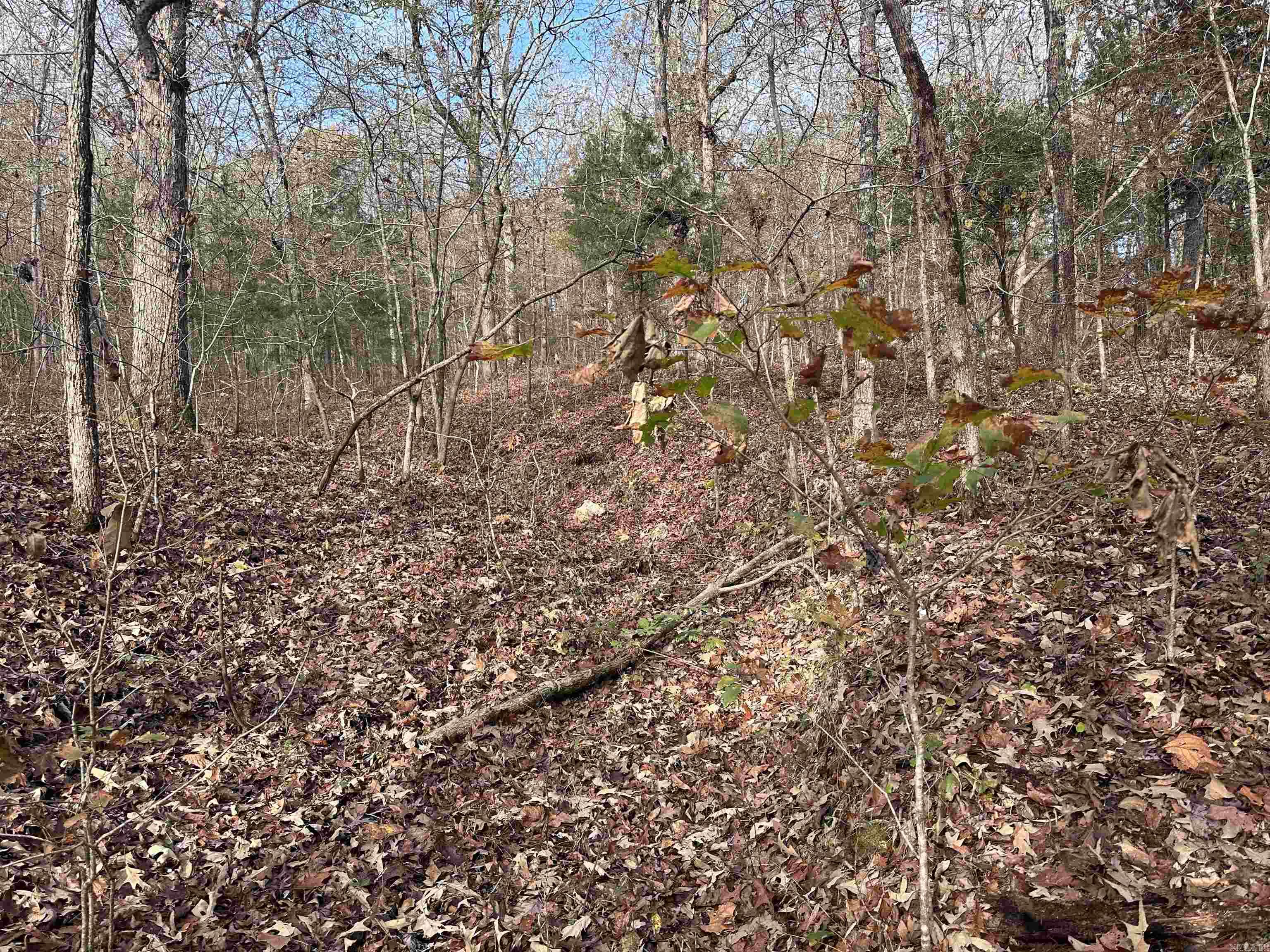 Photo 6 - Vacant Land for sale –   Hulett Rd   Evening Shade, AR