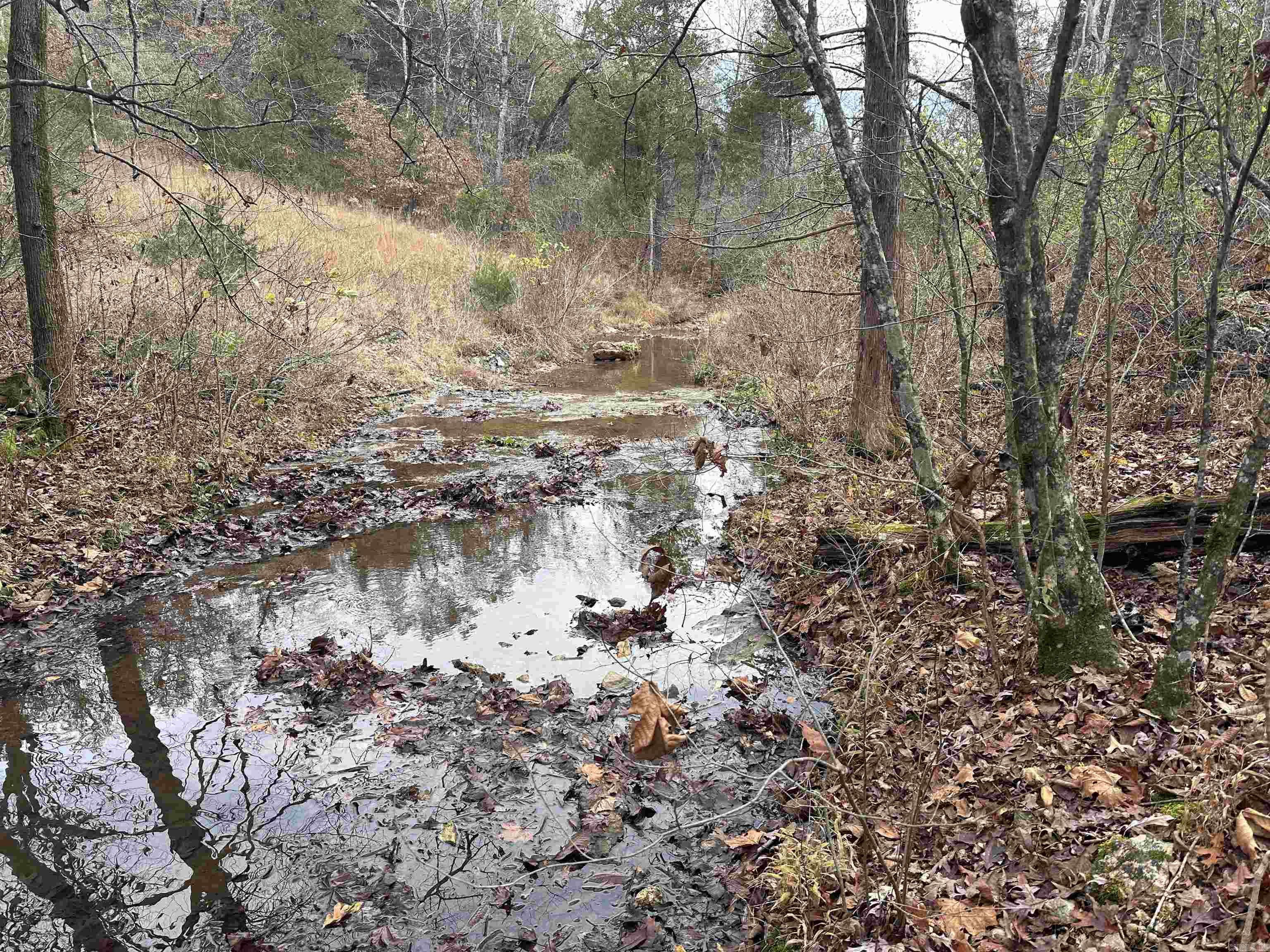 Photo 7 - Vacant Land for sale –   Hulett Rd   Evening Shade, AR