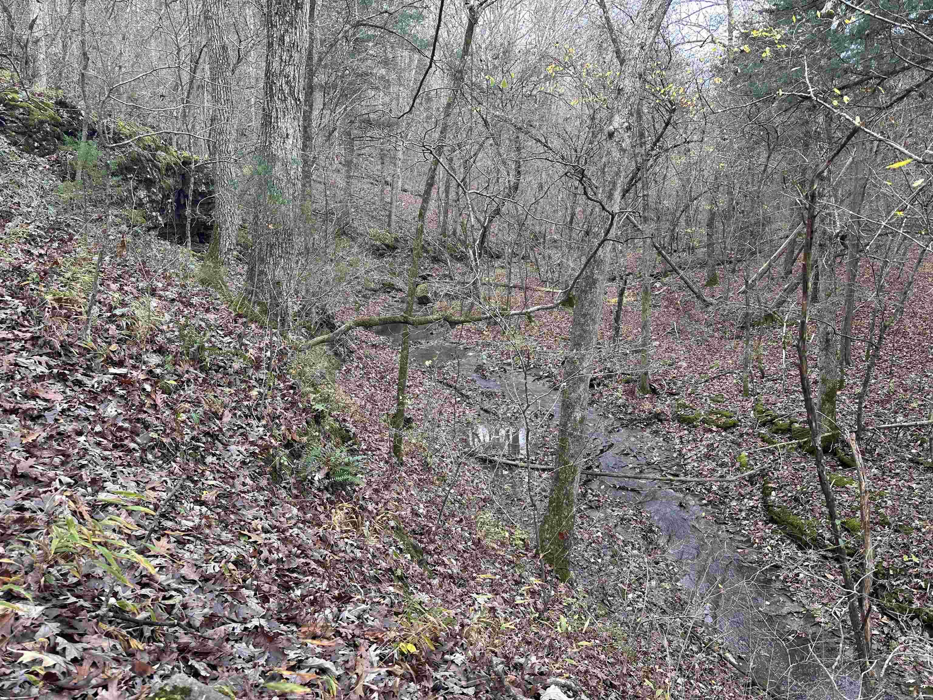 Photo 9 - Vacant Land for sale –   Hulett Rd   Evening Shade, AR