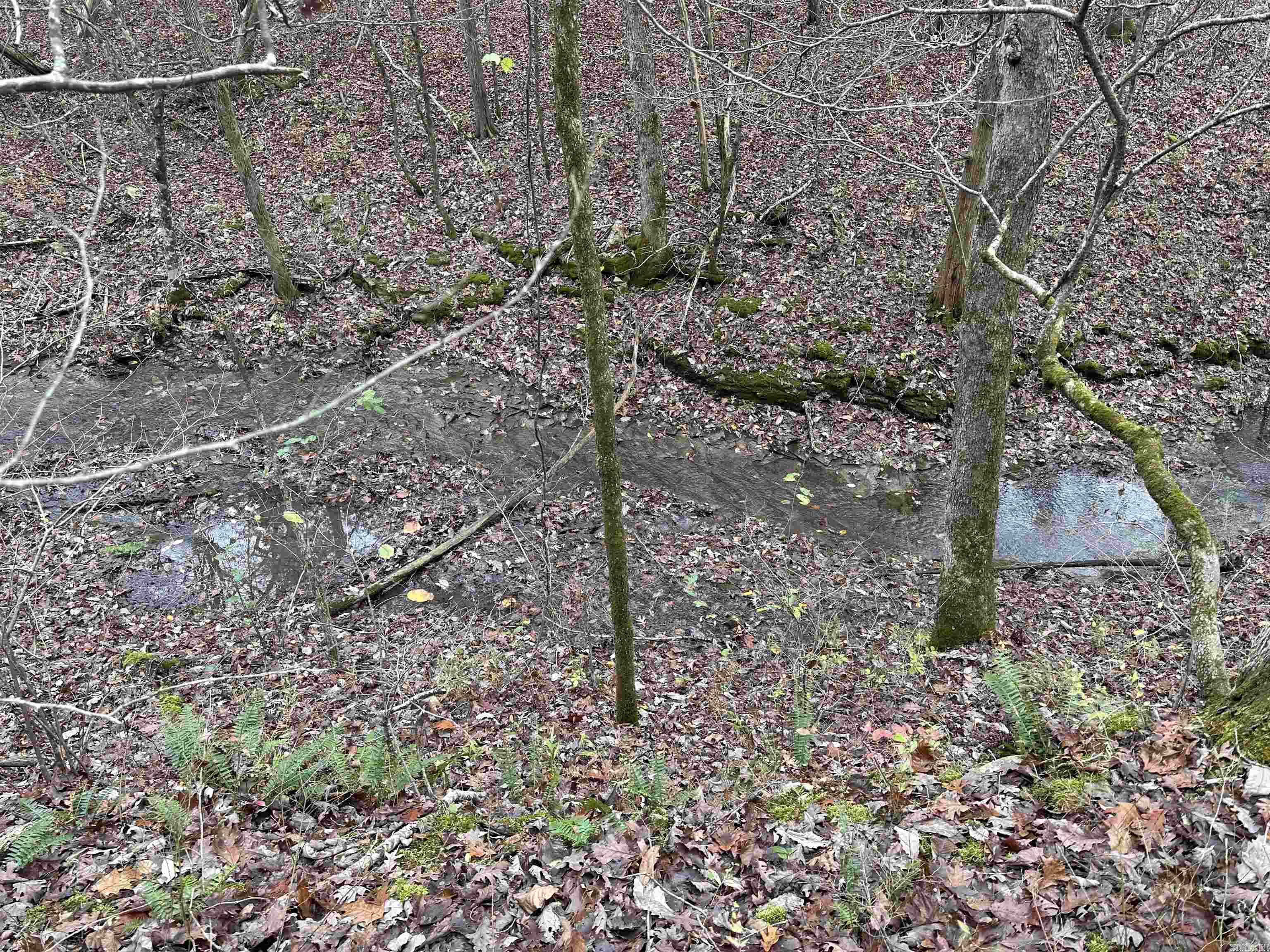 Photo 10 - Vacant Land for sale –   Hulett Rd   Evening Shade, AR