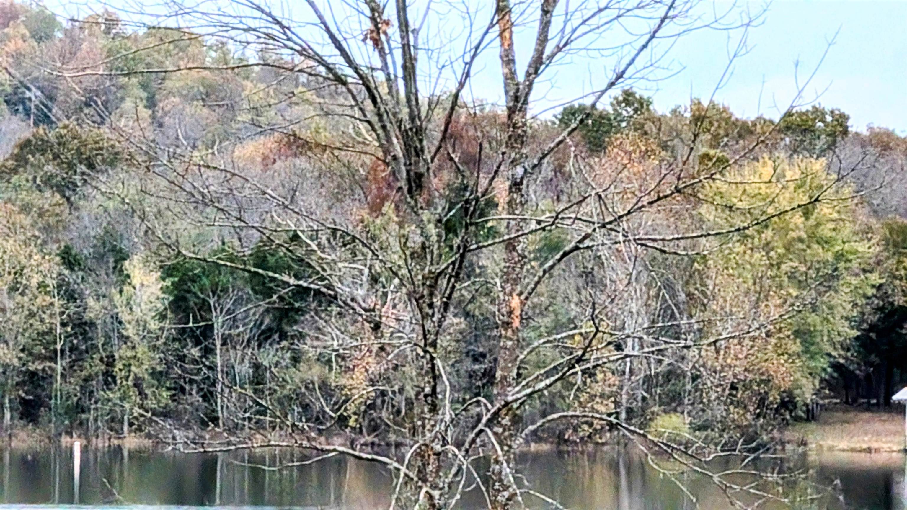 Photo 2 - Vacant Land for sale – 1805  Fox   Horseshoe Bend, AR