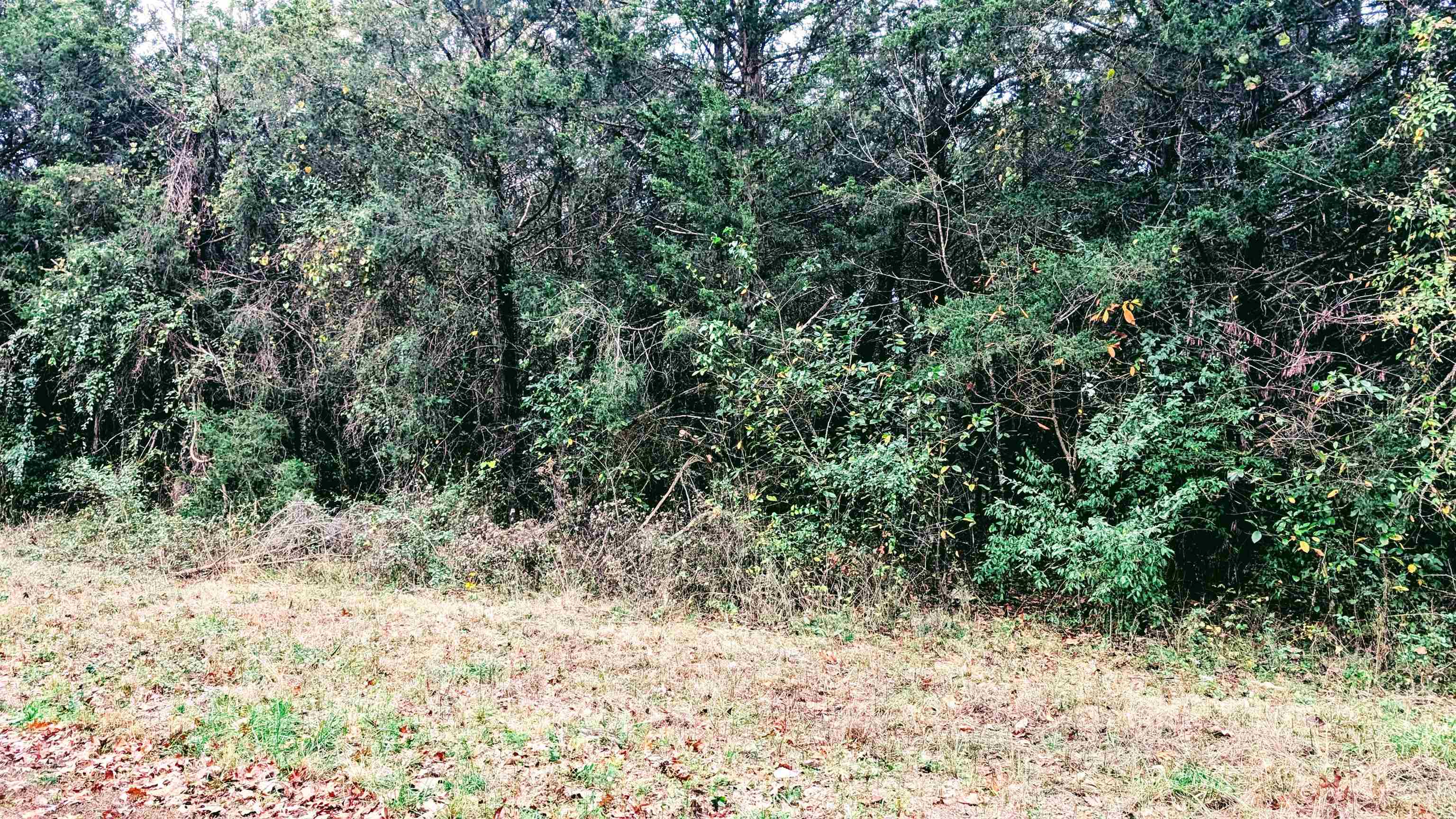Photo 12 - Vacant Land for sale – 1805  Fox   Horseshoe Bend, AR