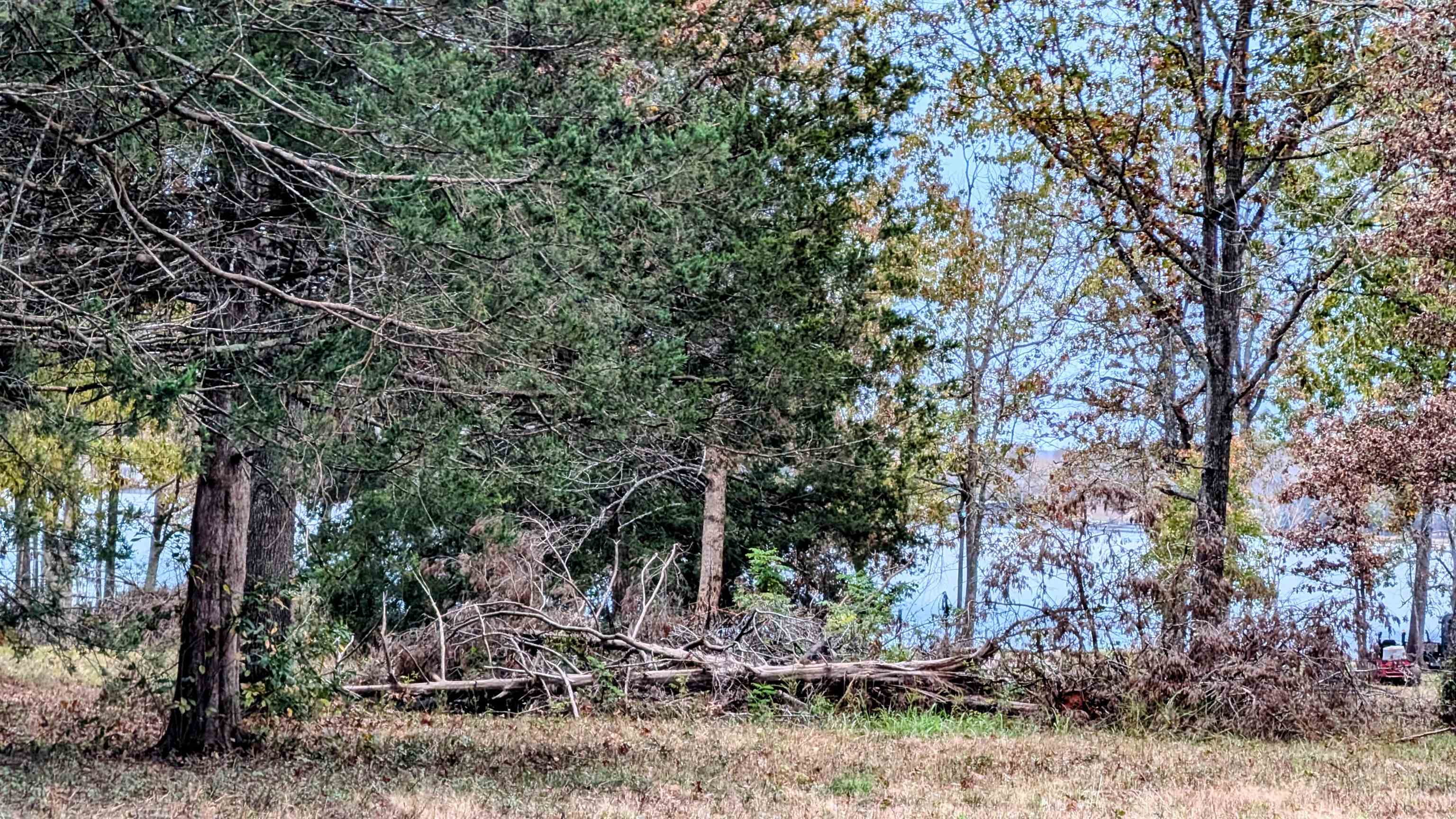 Photo 16 - Vacant Land for sale – 1805  Fox   Horseshoe Bend, AR