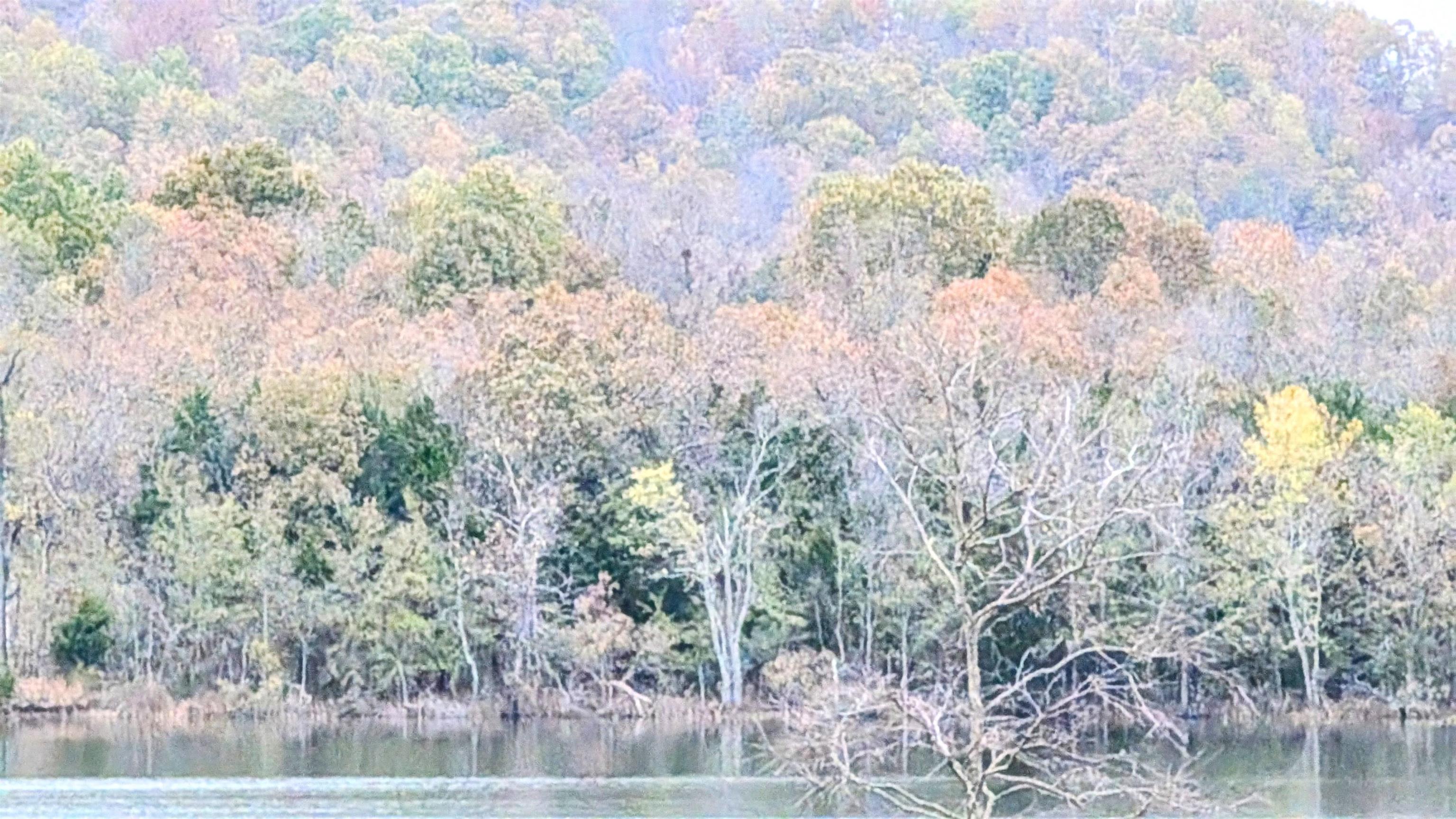 Photo 3 - Vacant Land for sale – 1805  Fox   Horseshoe Bend, AR