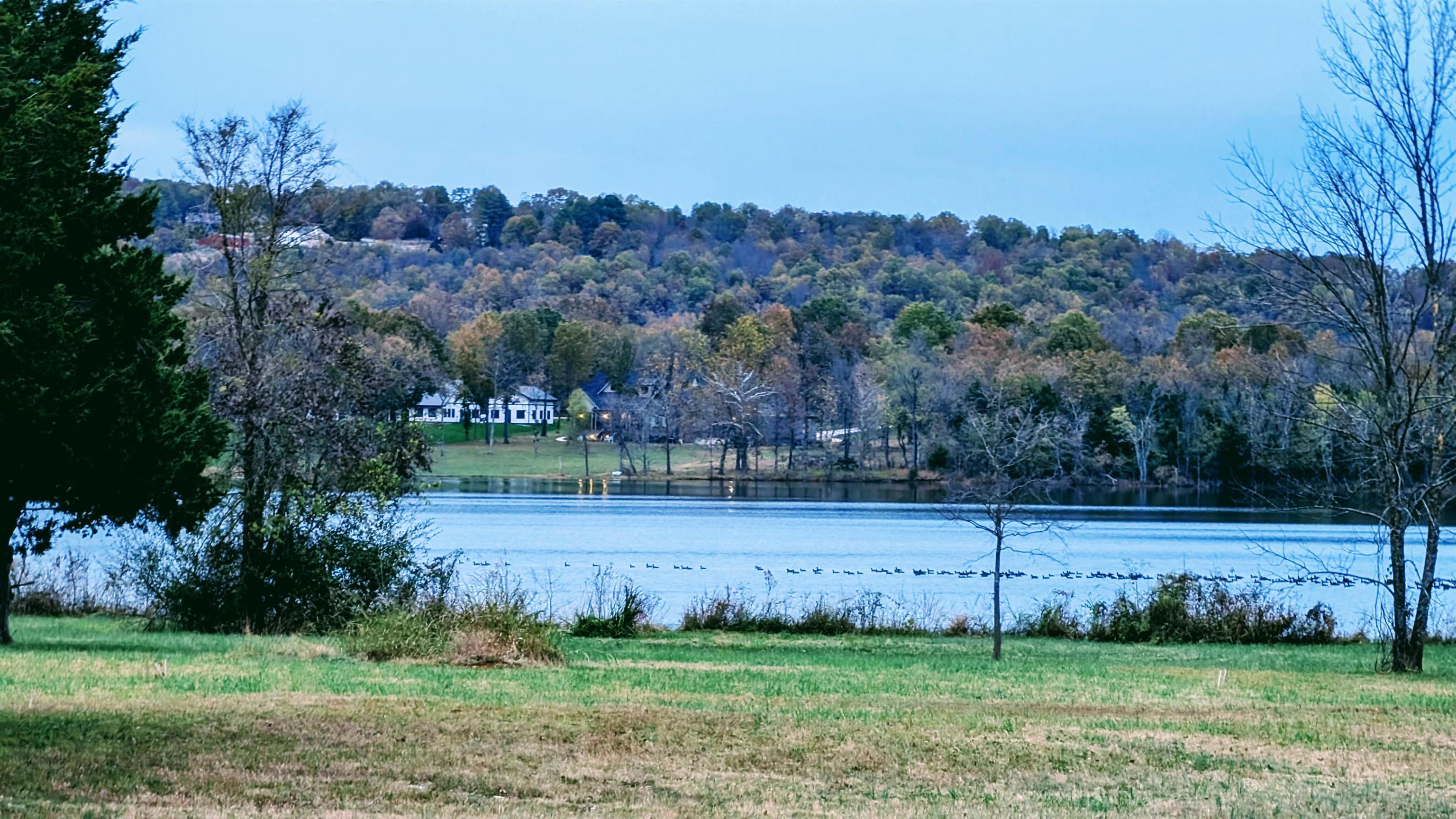 Photo 6 - Vacant Land for sale – 1805  Fox   Horseshoe Bend, AR