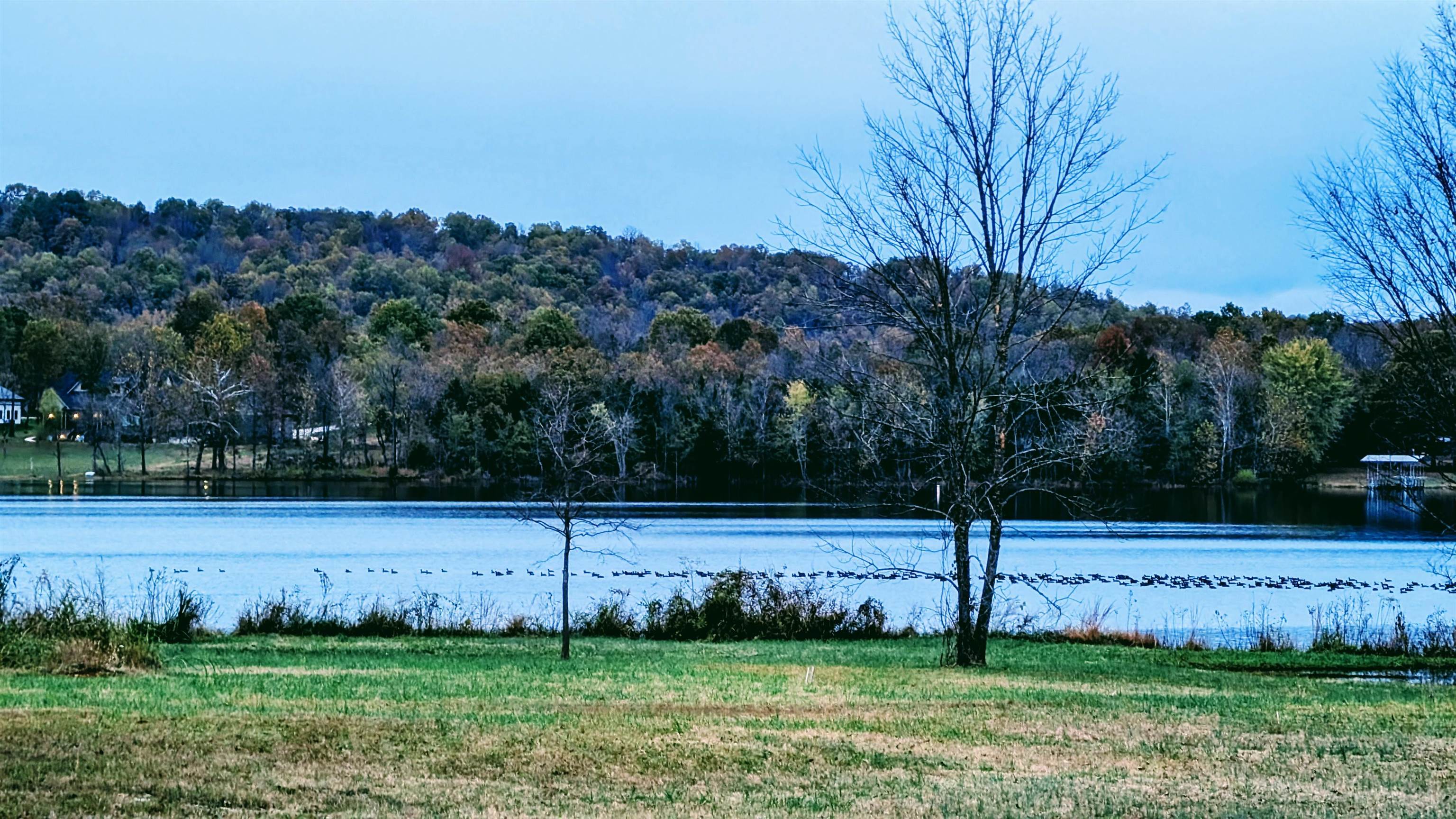 Photo 7 - Vacant Land for sale – 1805  Fox   Horseshoe Bend, AR