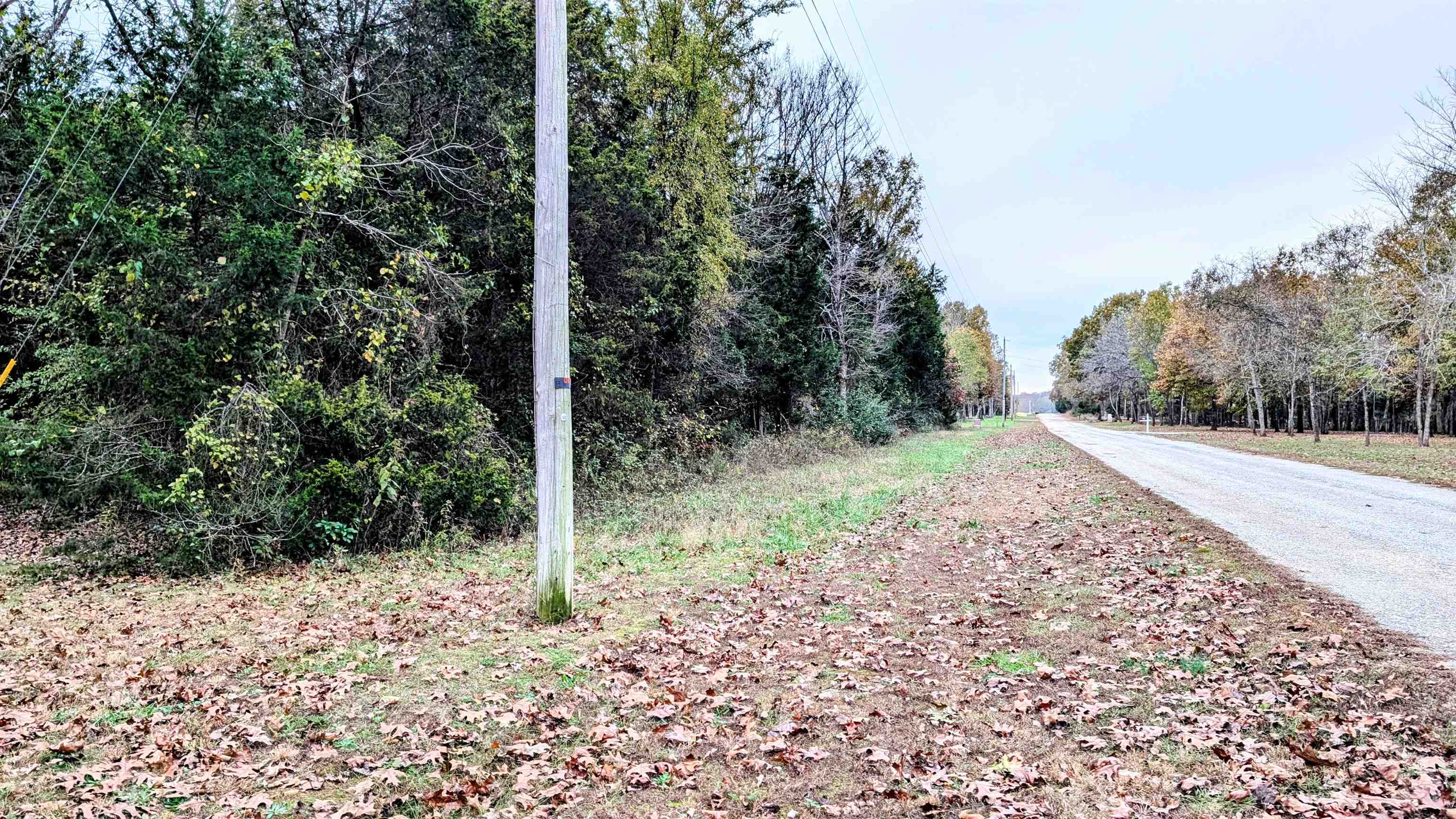 Photo 8 - Vacant Land for sale – 1805  Fox   Horseshoe Bend, AR