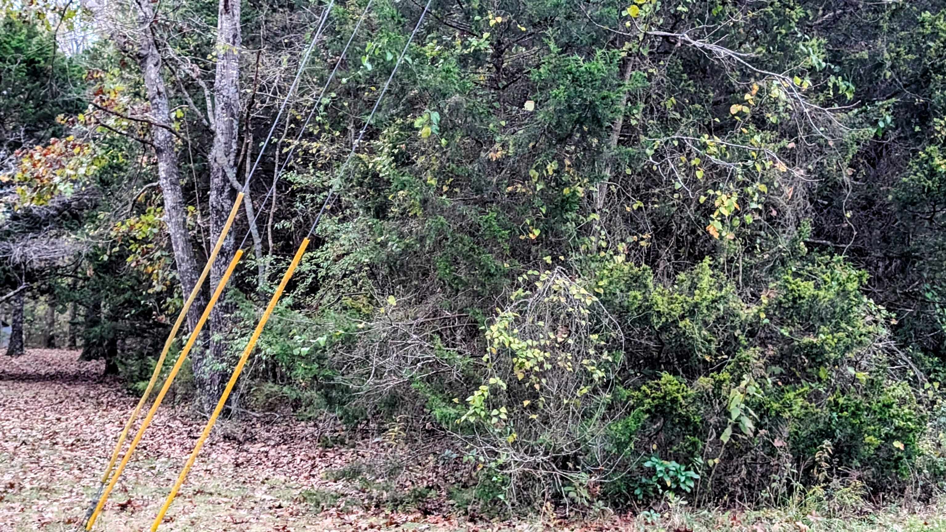 Photo 9 - Vacant Land for sale – 1805  Fox   Horseshoe Bend, AR