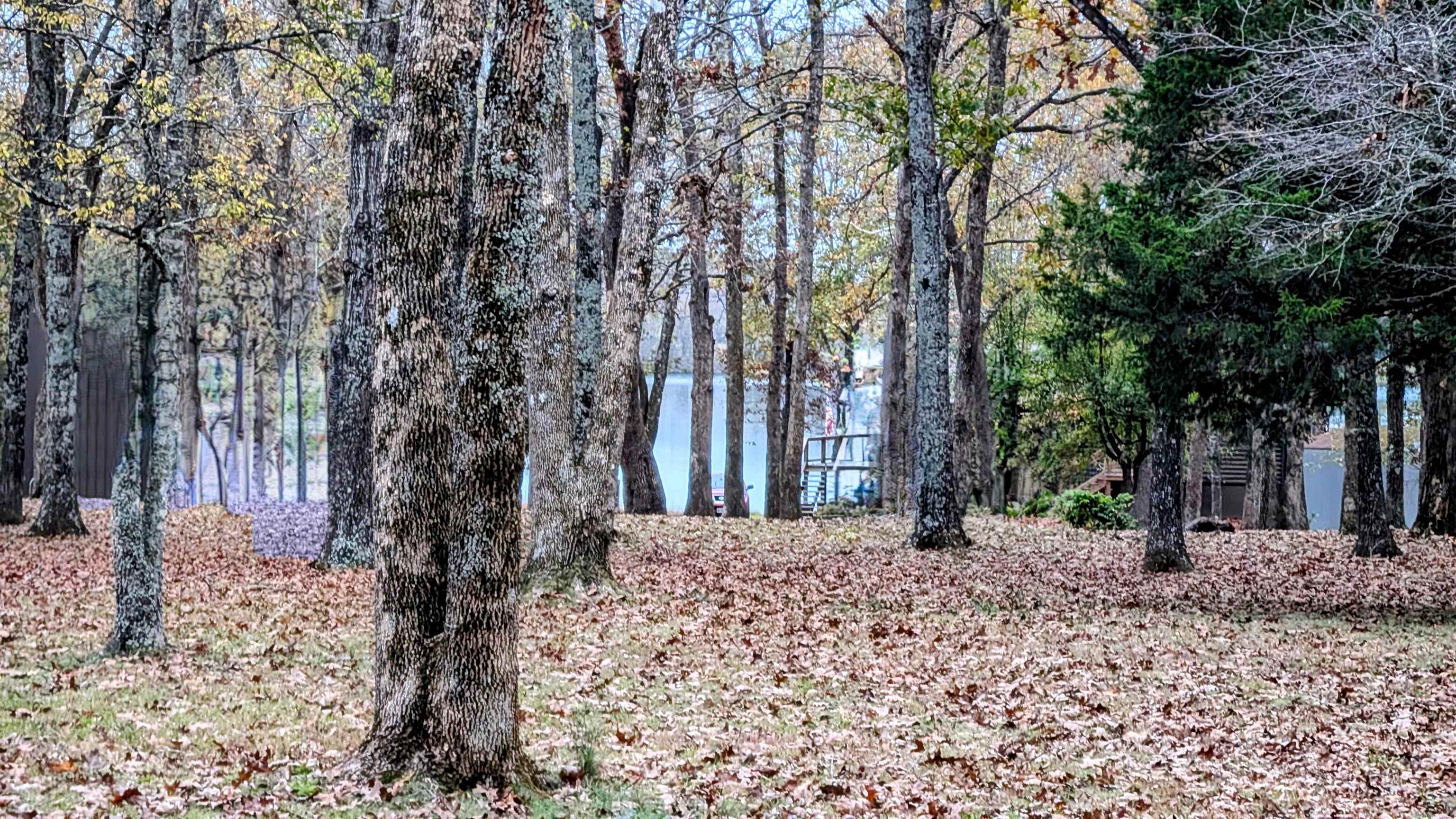 Photo 10 - Vacant Land for sale – 1805  Fox   Horseshoe Bend, AR