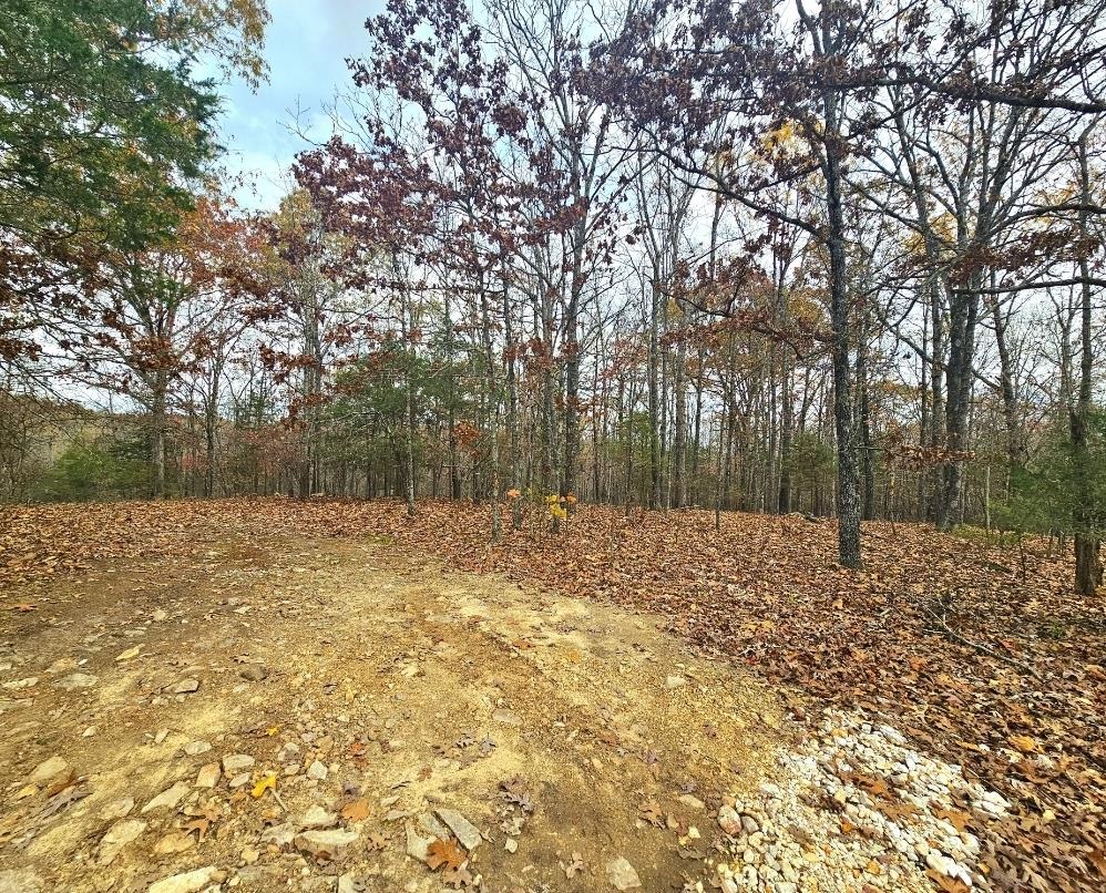 Photo 2 - Vacant Land for sale –   Dome Valley   Cave City, AR