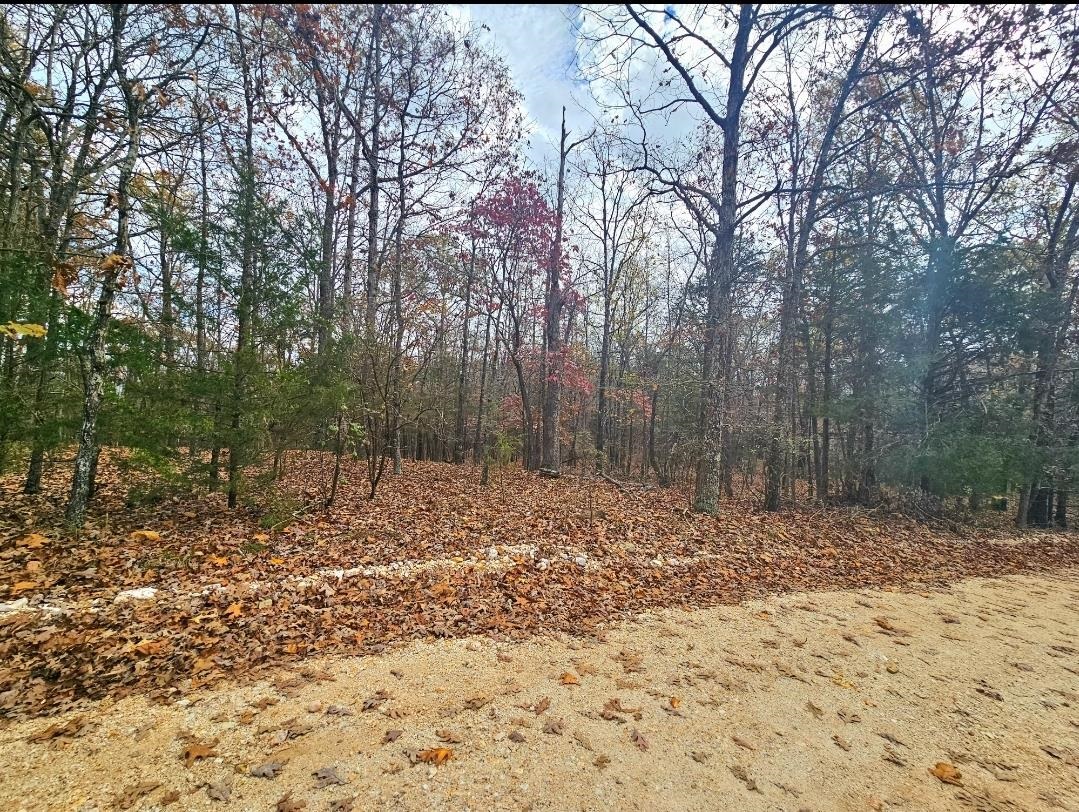 Photo 3 - Vacant Land for sale –   Dome Valley   Cave City, AR