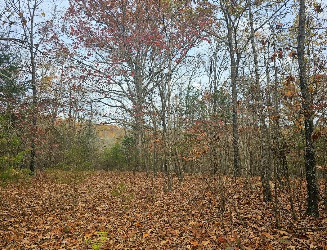Photo 5 - Vacant Land for sale –   Dome Valley   Cave City, AR