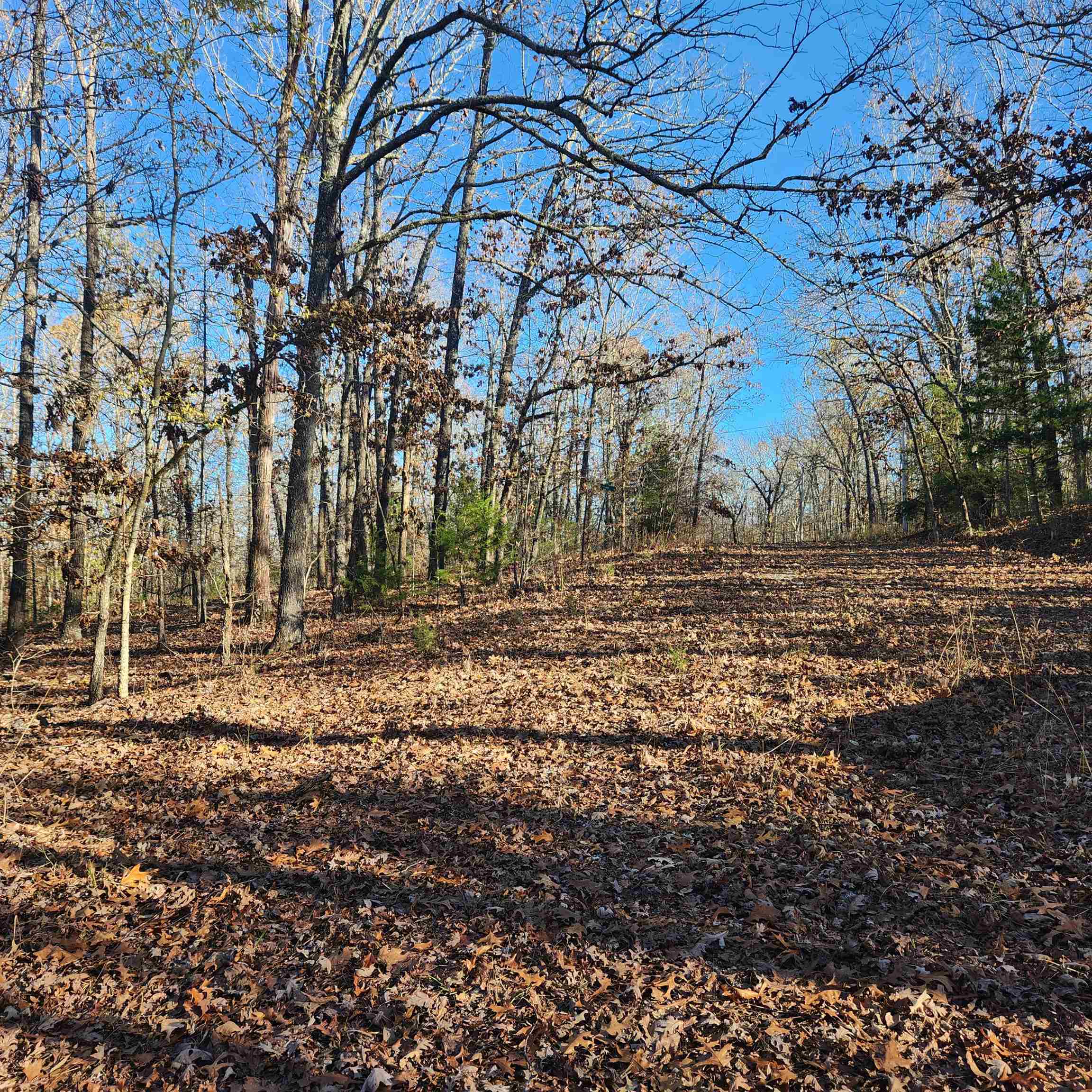 Photo 2 - Vacant Land for sale – L63-64 B-11  Miami   Cherokee Village, AR