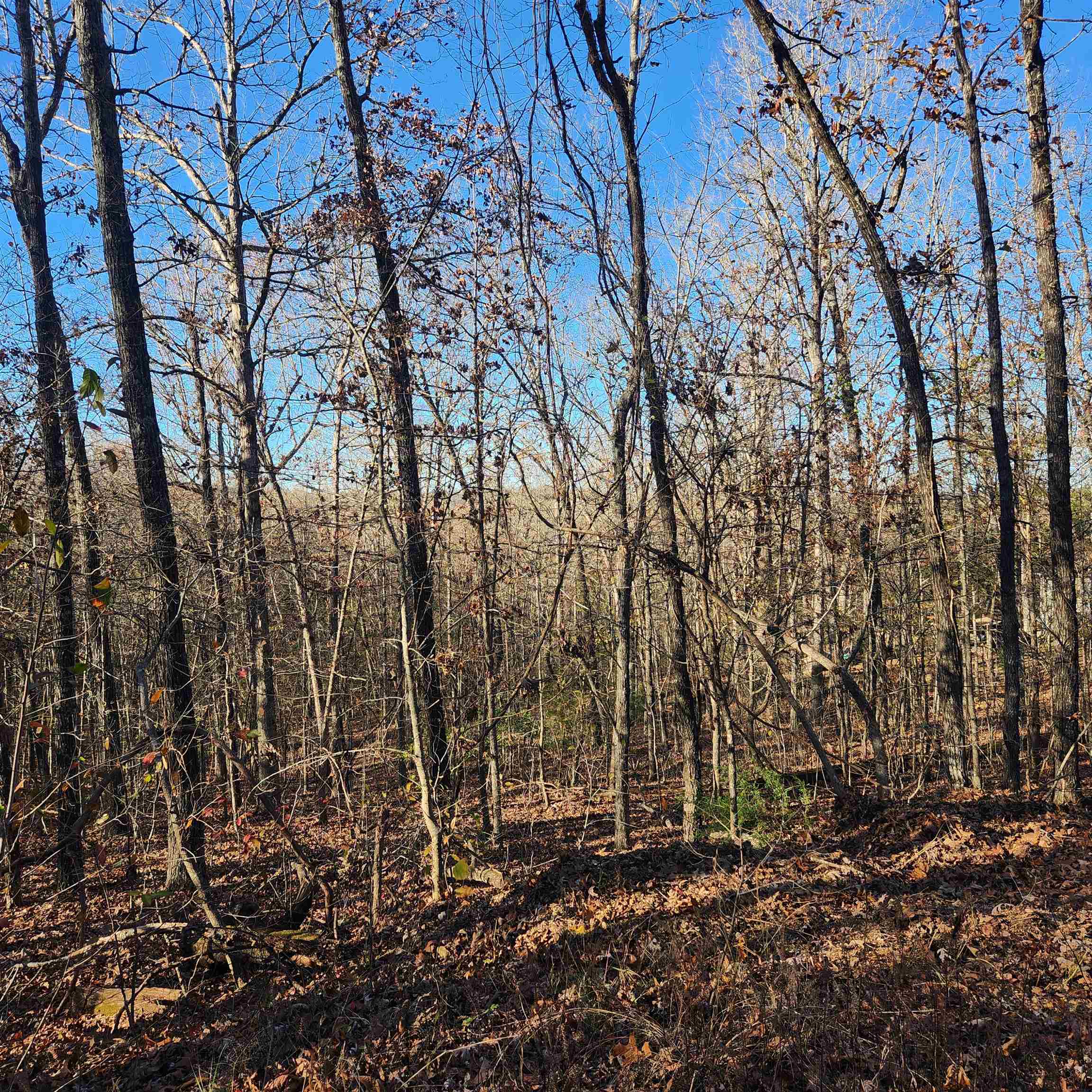Photo 12 - Vacant Land for sale – L63-64 B-11  Miami   Cherokee Village, AR