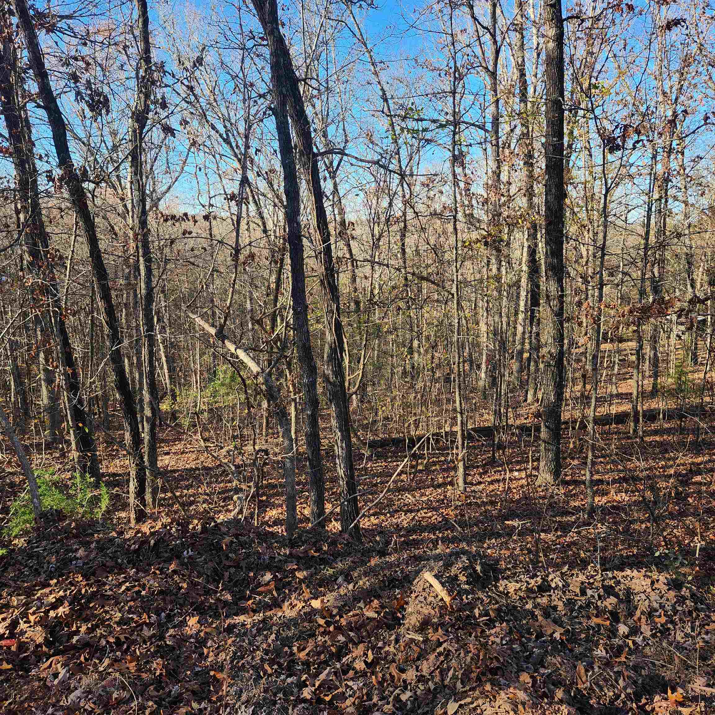 Photo 13 - Vacant Land for sale – L63-64 B-11  Miami   Cherokee Village, AR