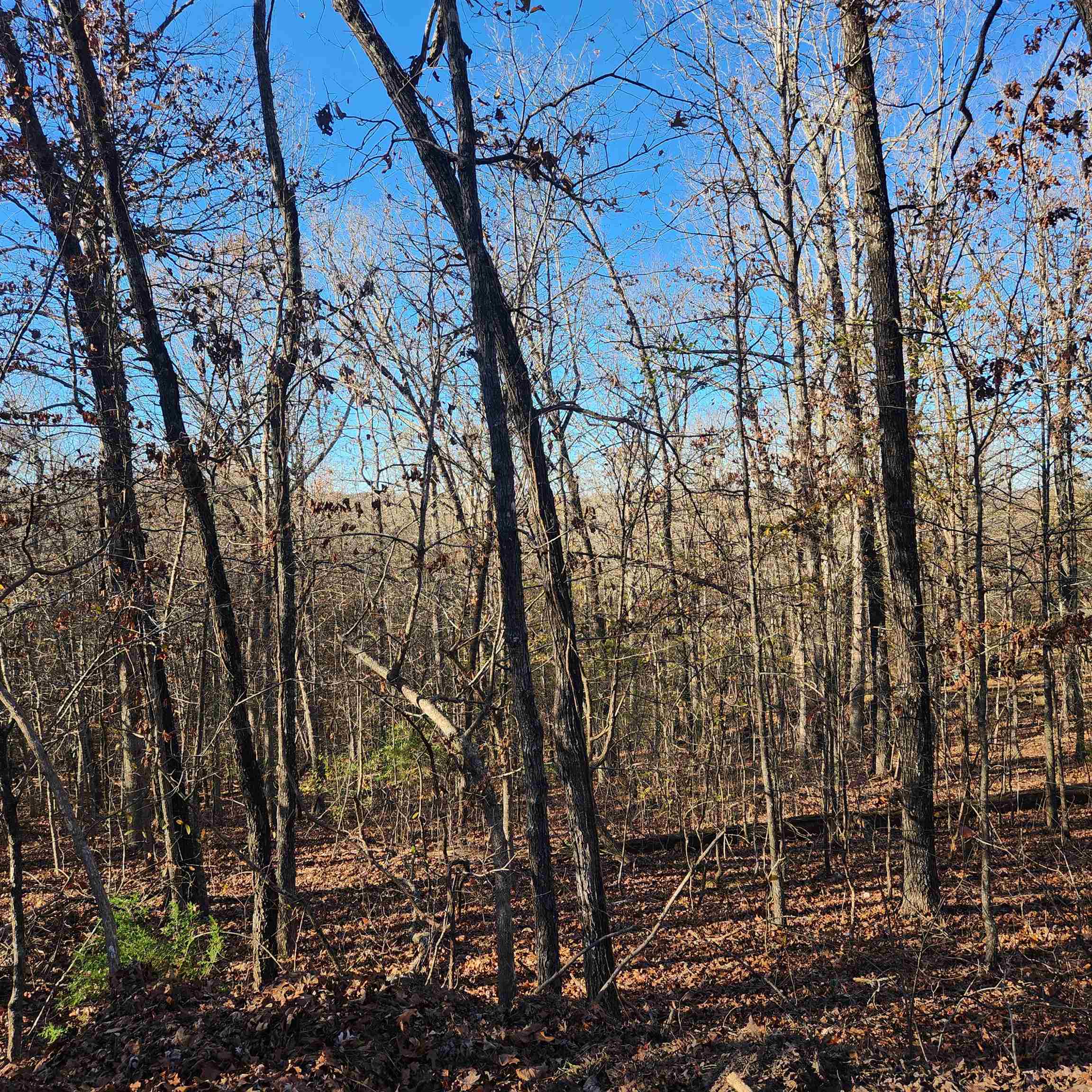 Photo 15 - Vacant Land for sale – L63-64 B-11  Miami   Cherokee Village, AR