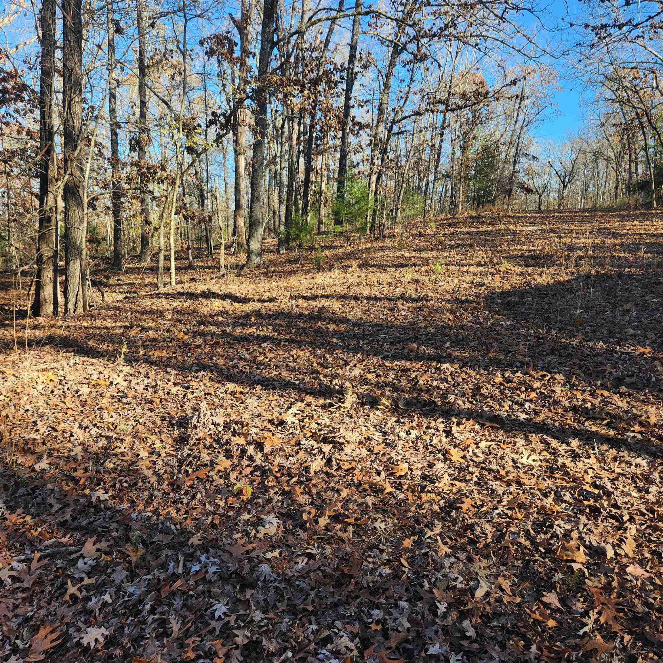 Photo 16 - Vacant Land for sale – L63-64 B-11  Miami   Cherokee Village, AR