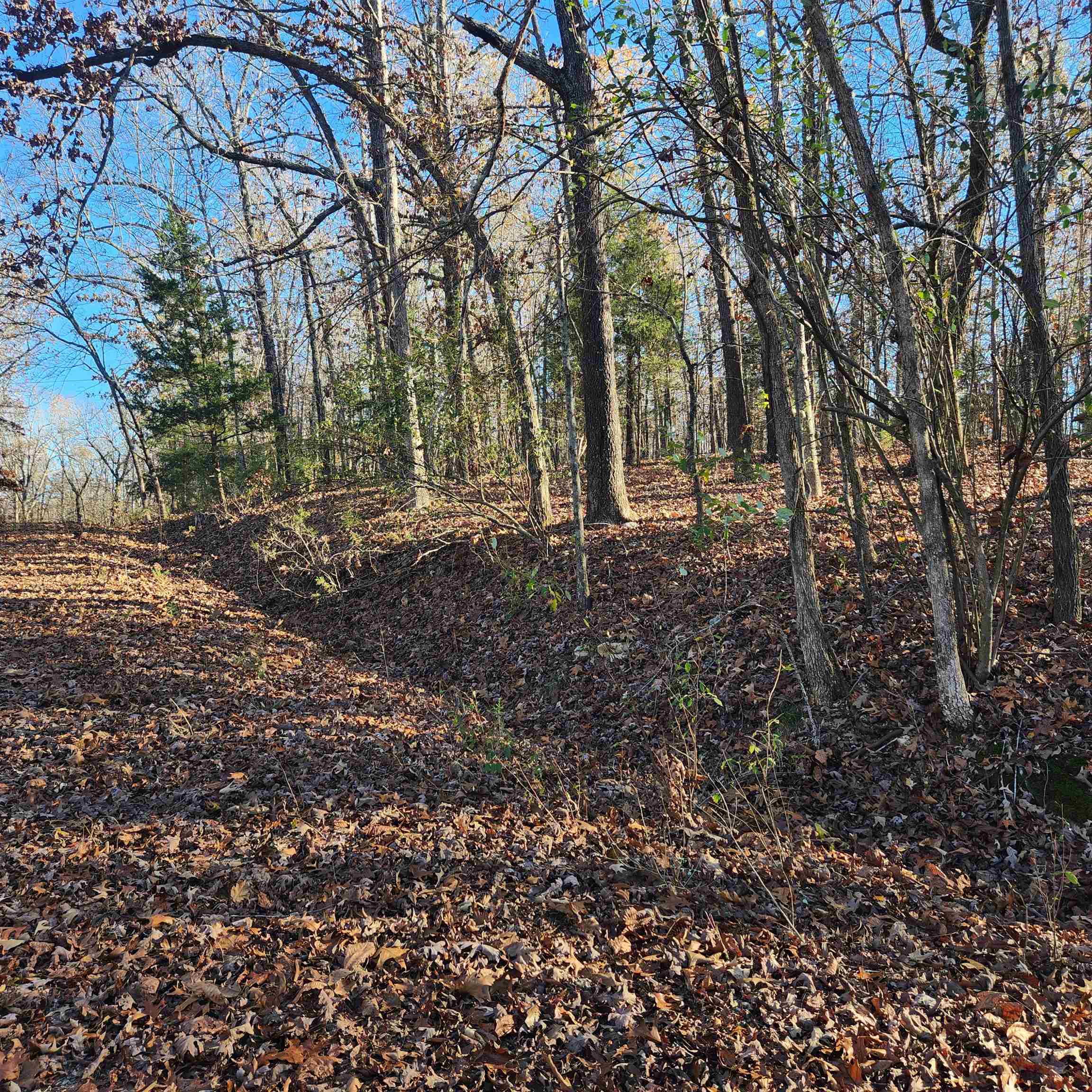 Photo 17 - Vacant Land for sale – L63-64 B-11  Miami   Cherokee Village, AR