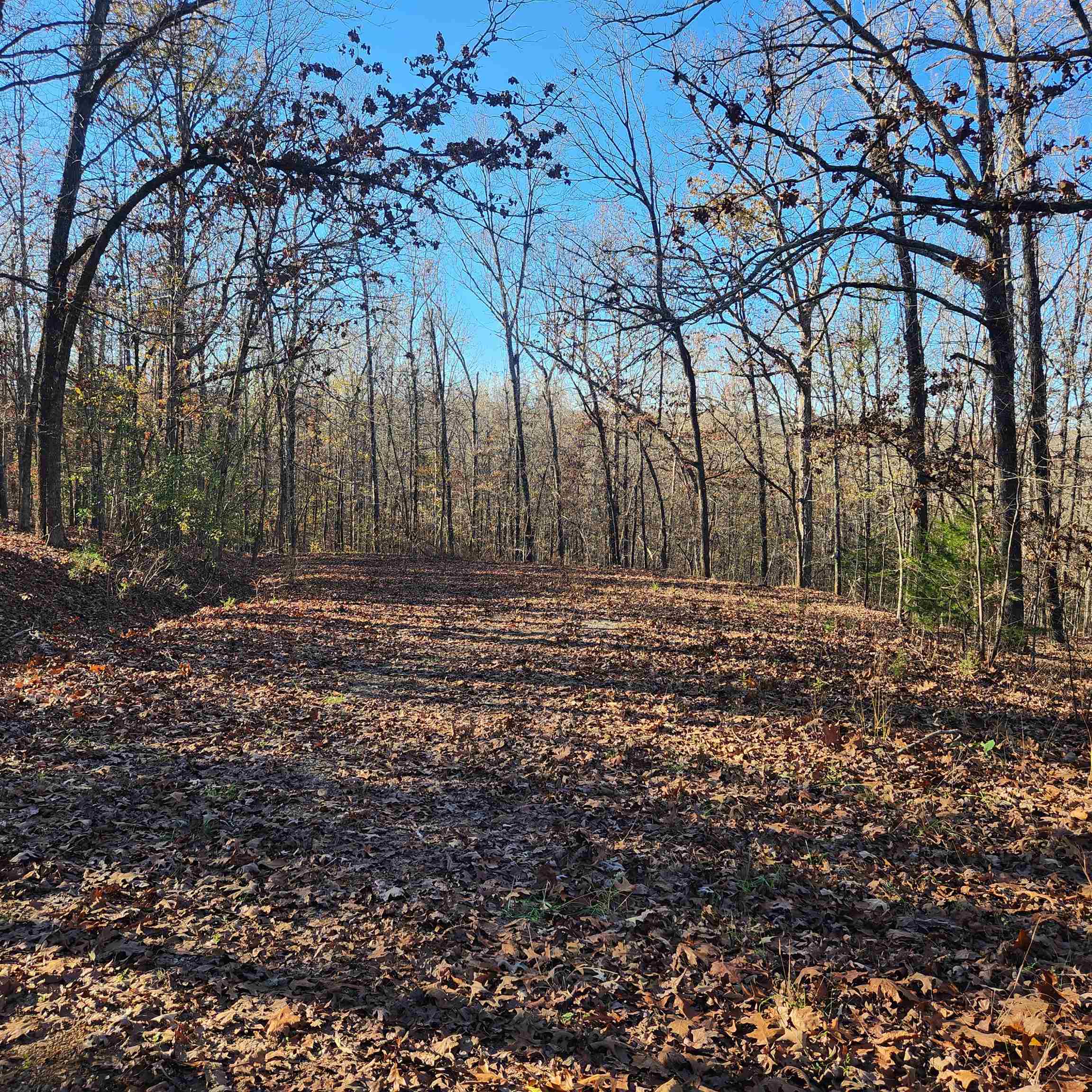 Photo 18 - Vacant Land for sale – L63-64 B-11  Miami   Cherokee Village, AR