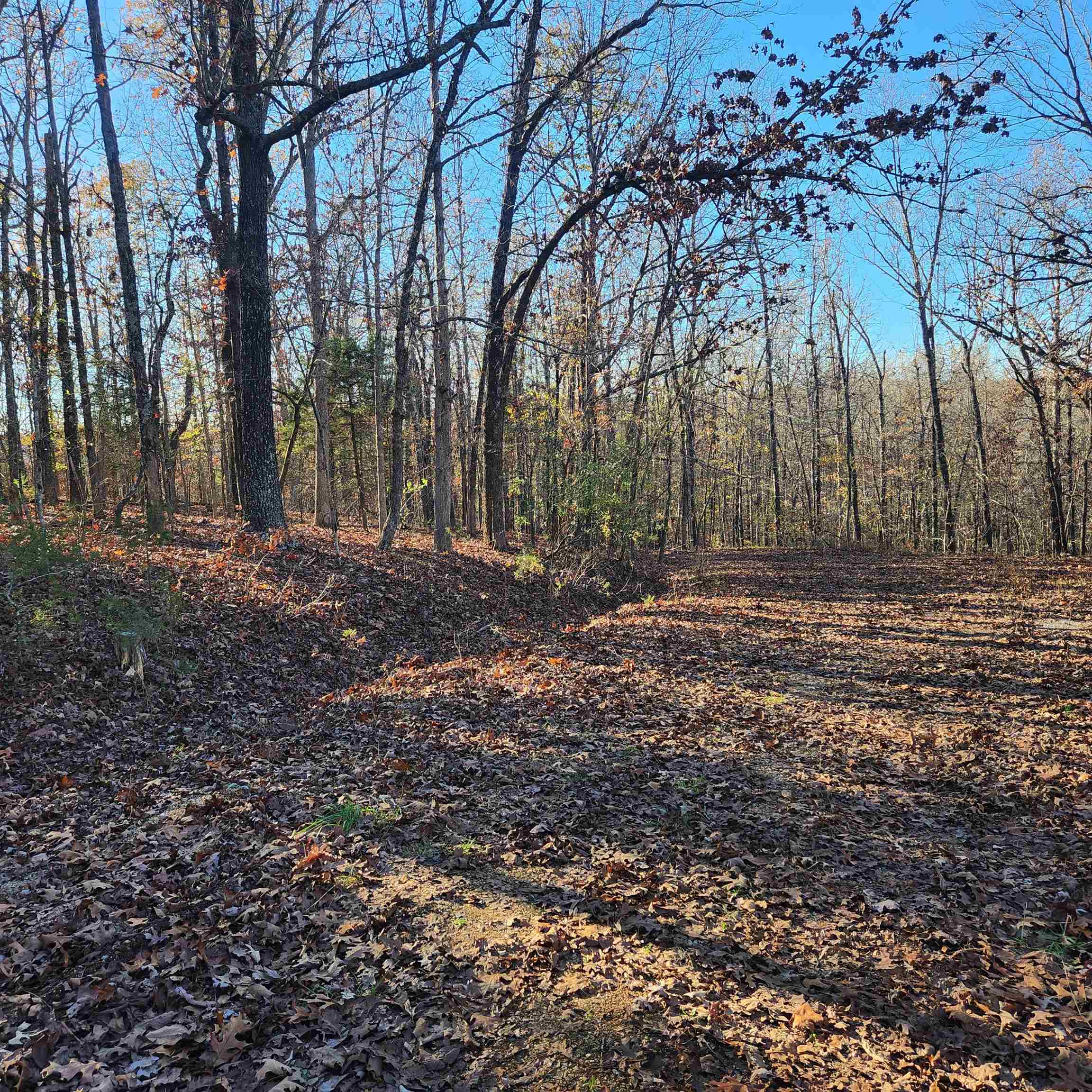 Photo 19 - Vacant Land for sale – L63-64 B-11  Miami   Cherokee Village, AR