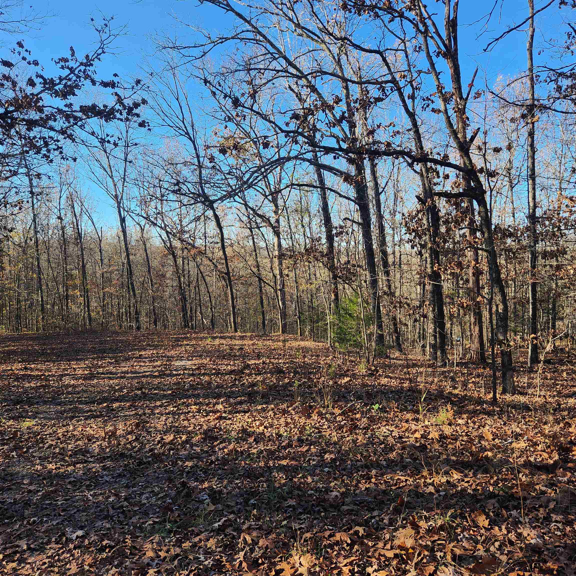Photo 20 - Vacant Land for sale – L63-64 B-11  Miami   Cherokee Village, AR