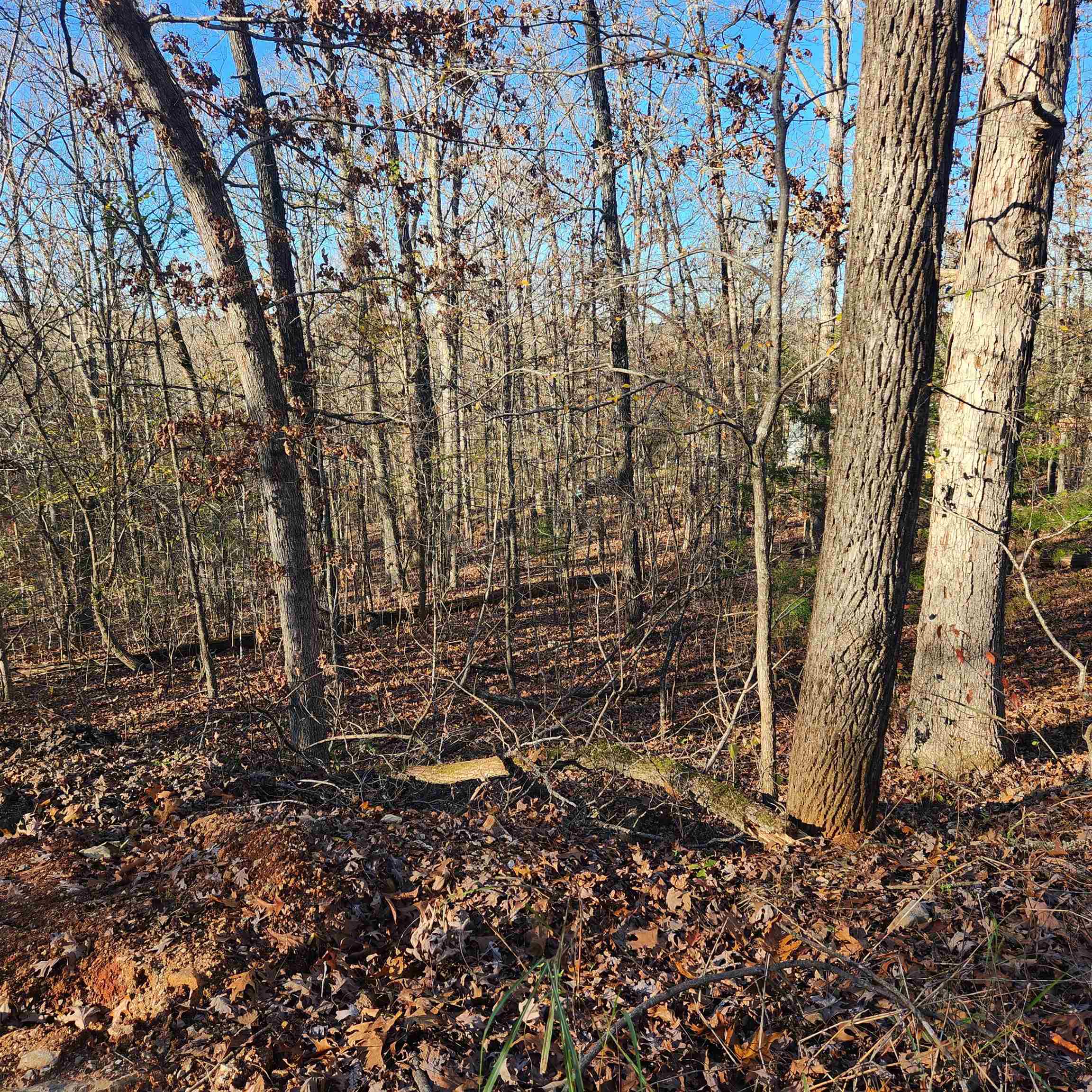 Photo 3 - Vacant Land for sale – L63-64 B-11  Miami   Cherokee Village, AR