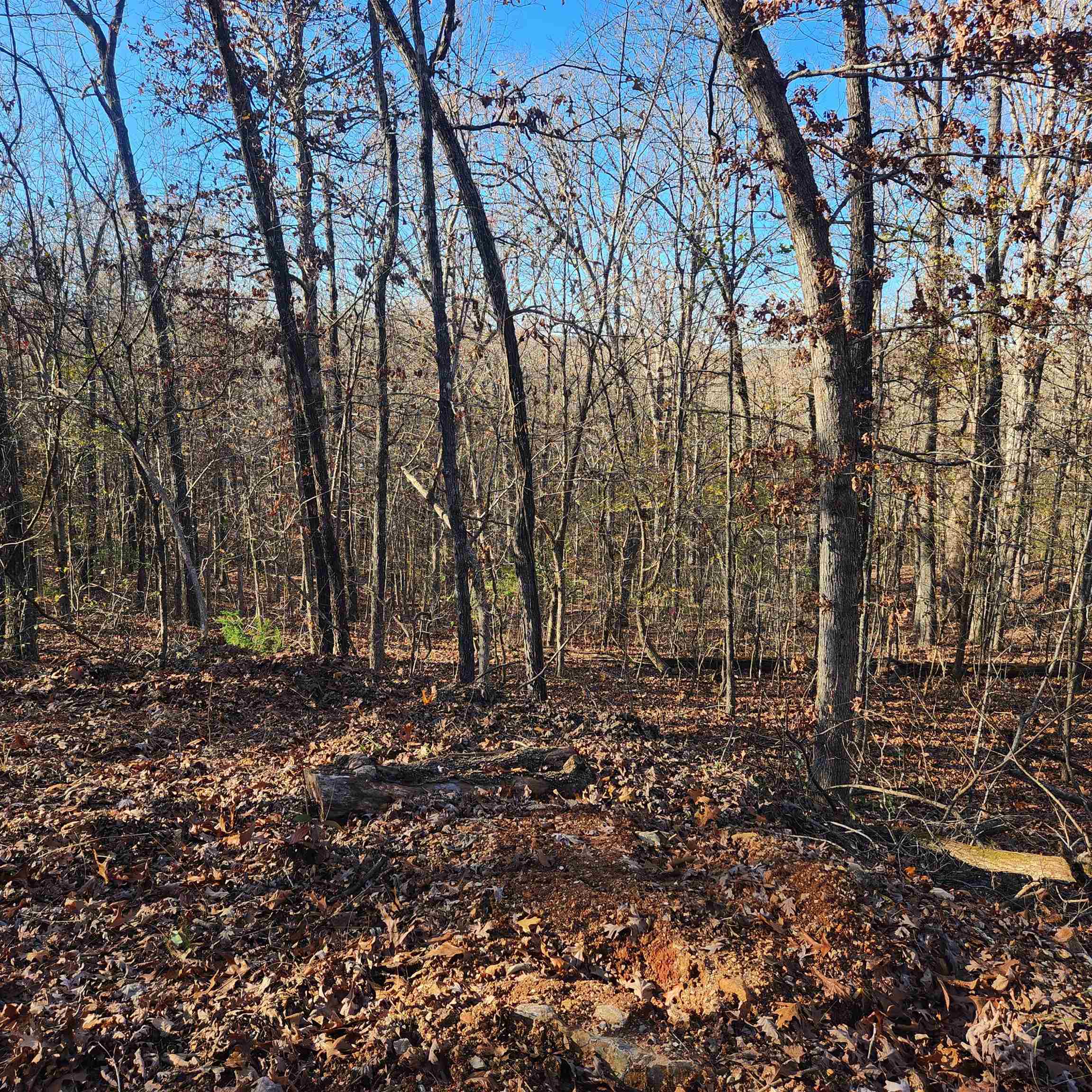 Photo 4 - Vacant Land for sale – L63-64 B-11  Miami   Cherokee Village, AR