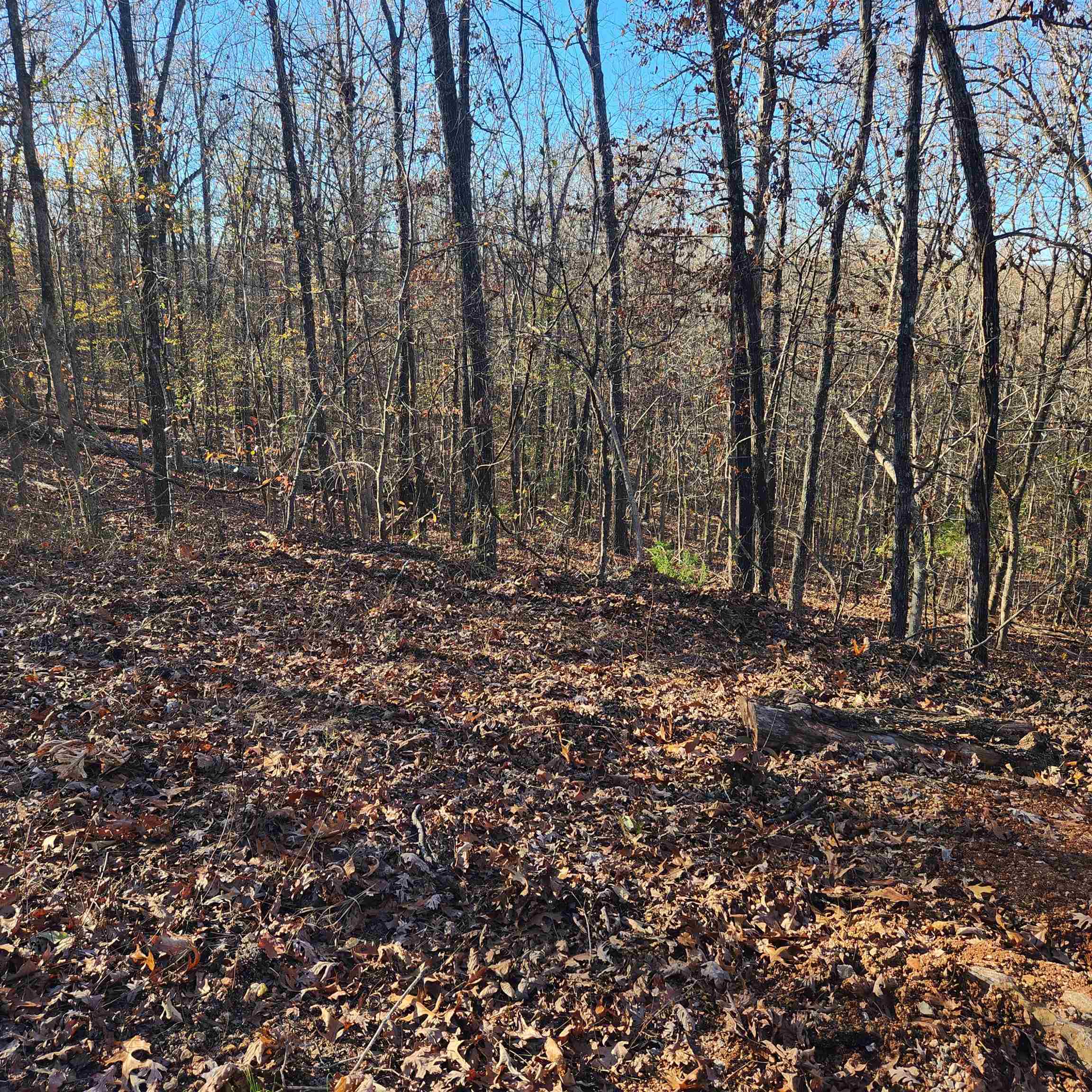 Photo 5 - Vacant Land for sale – L63-64 B-11  Miami   Cherokee Village, AR