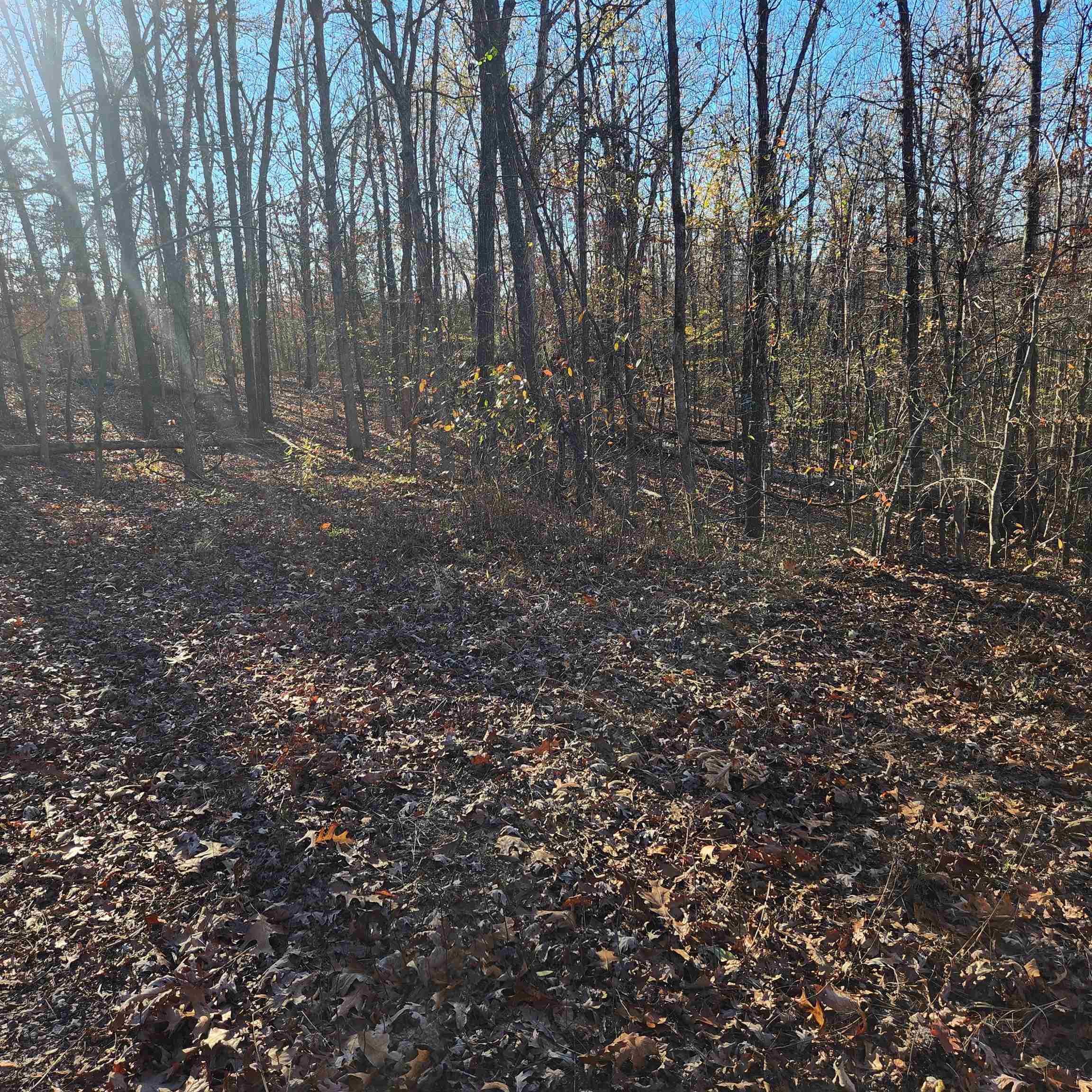 Photo 6 - Vacant Land for sale – L63-64 B-11  Miami   Cherokee Village, AR