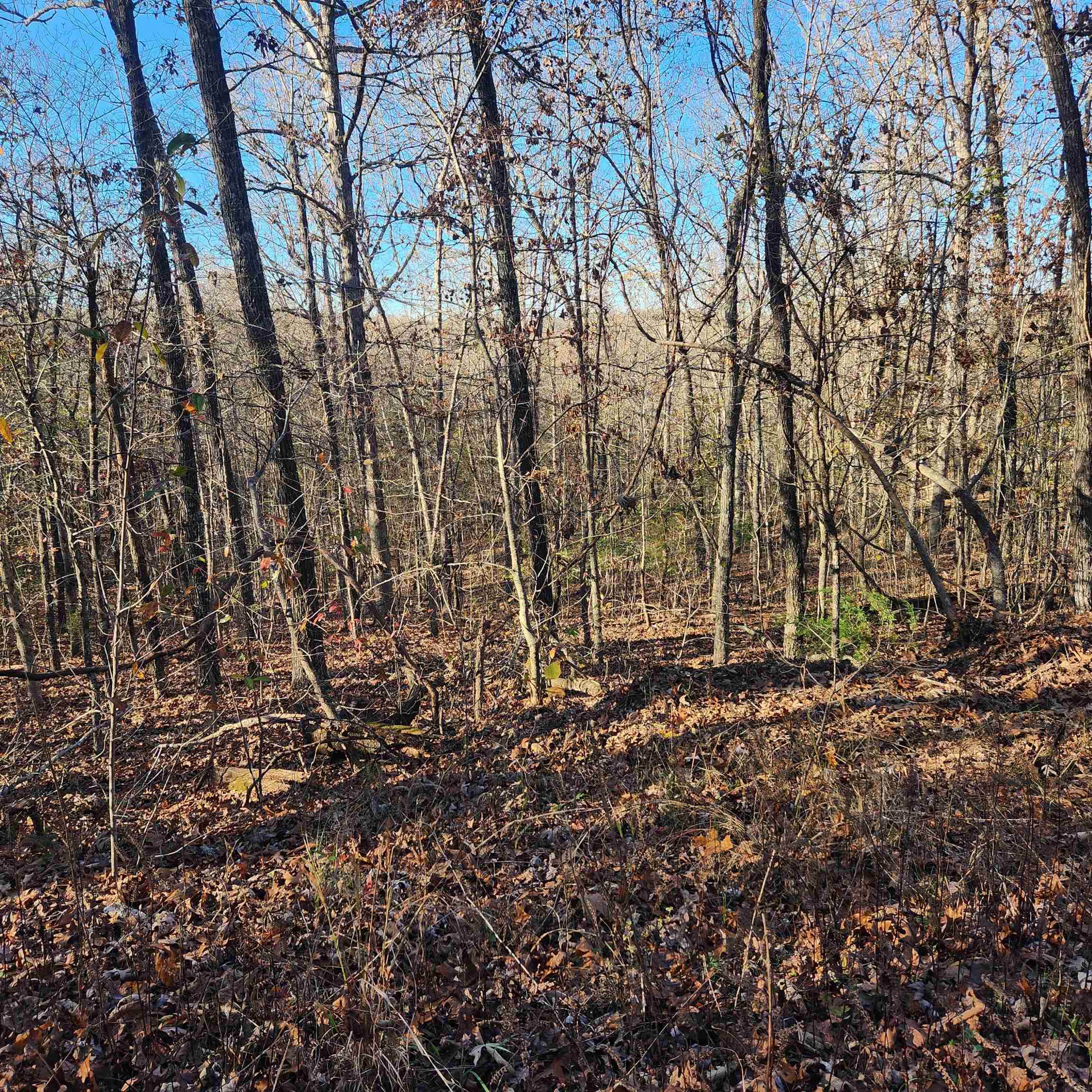 Photo 8 - Vacant Land for sale – L63-64 B-11  Miami   Cherokee Village, AR