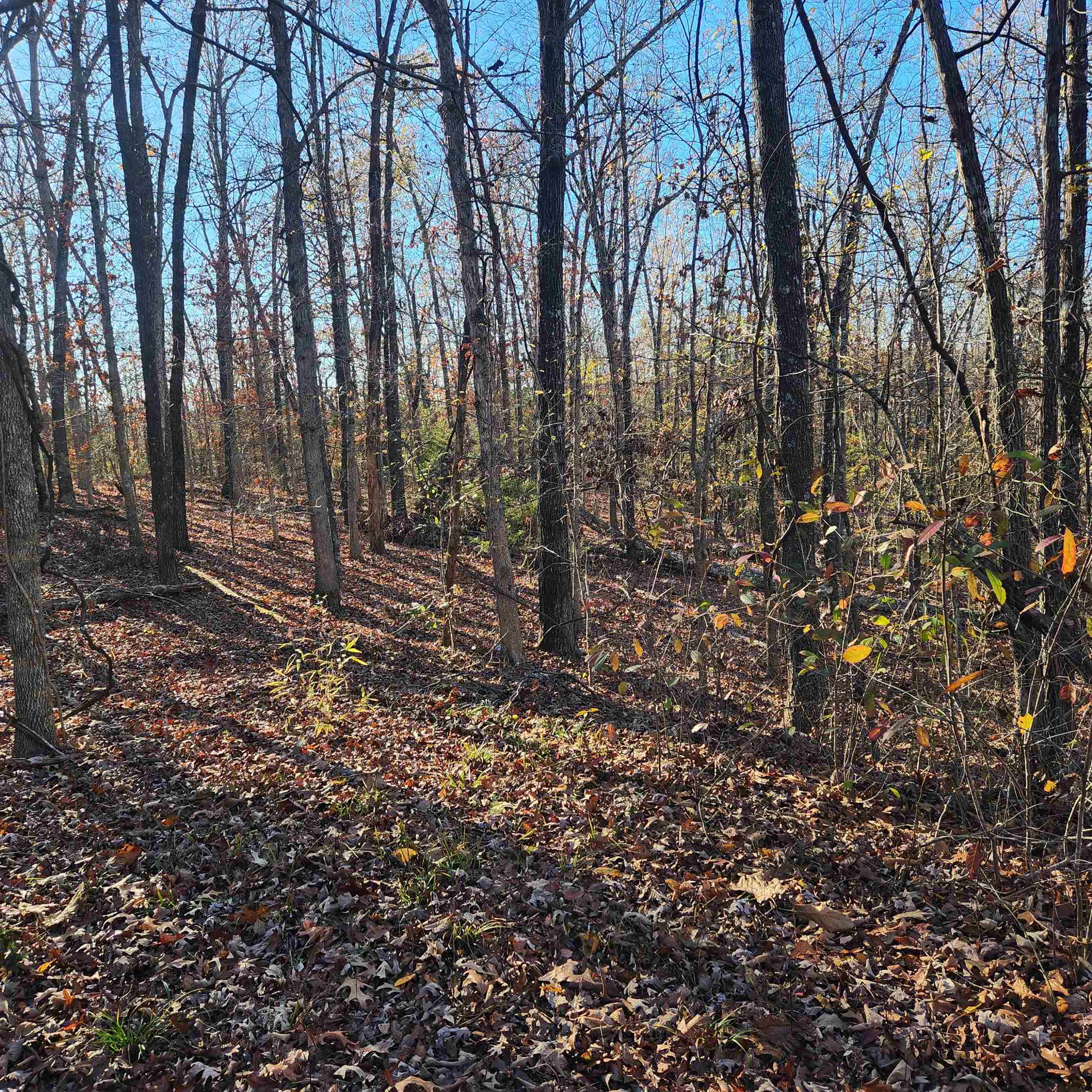 Photo 10 - Vacant Land for sale – L63-64 B-11  Miami   Cherokee Village, AR