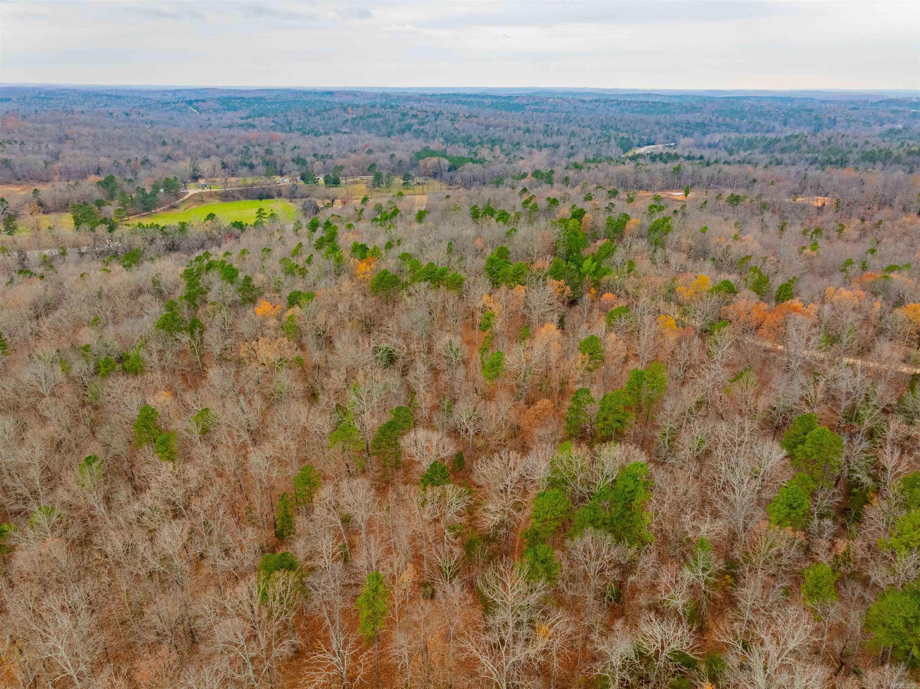 Photo 11 - Vacant Land for sale – 0  Hancock lane / Hwy. 167   Evening Shade, AR