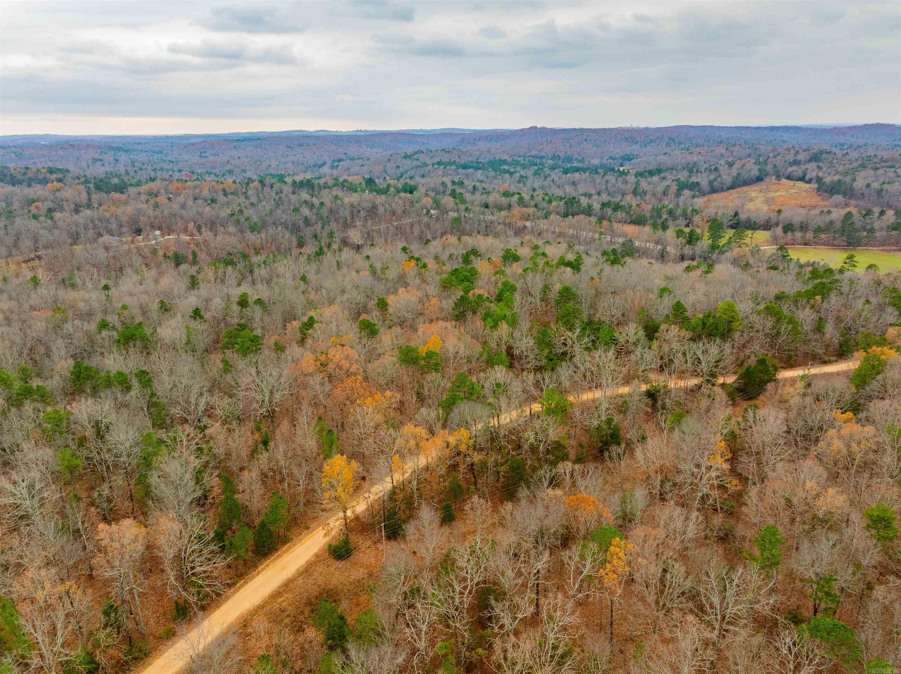 Photo 13 - Vacant Land for sale – 0  Hancock lane / Hwy. 167   Evening Shade, AR