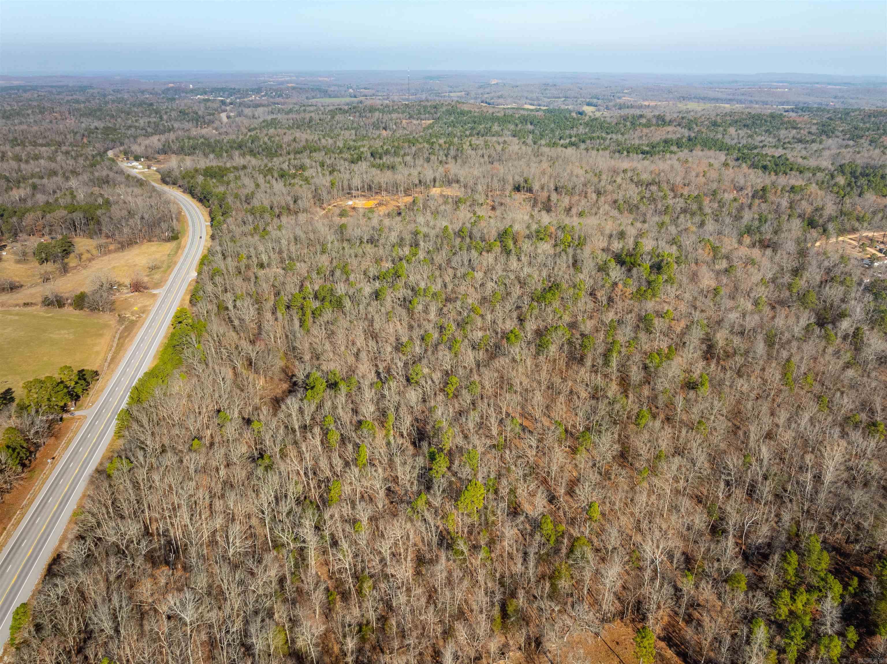 Photo 14 - Vacant Land for sale – 0  Hancock lane / Hwy. 167   Evening Shade, AR