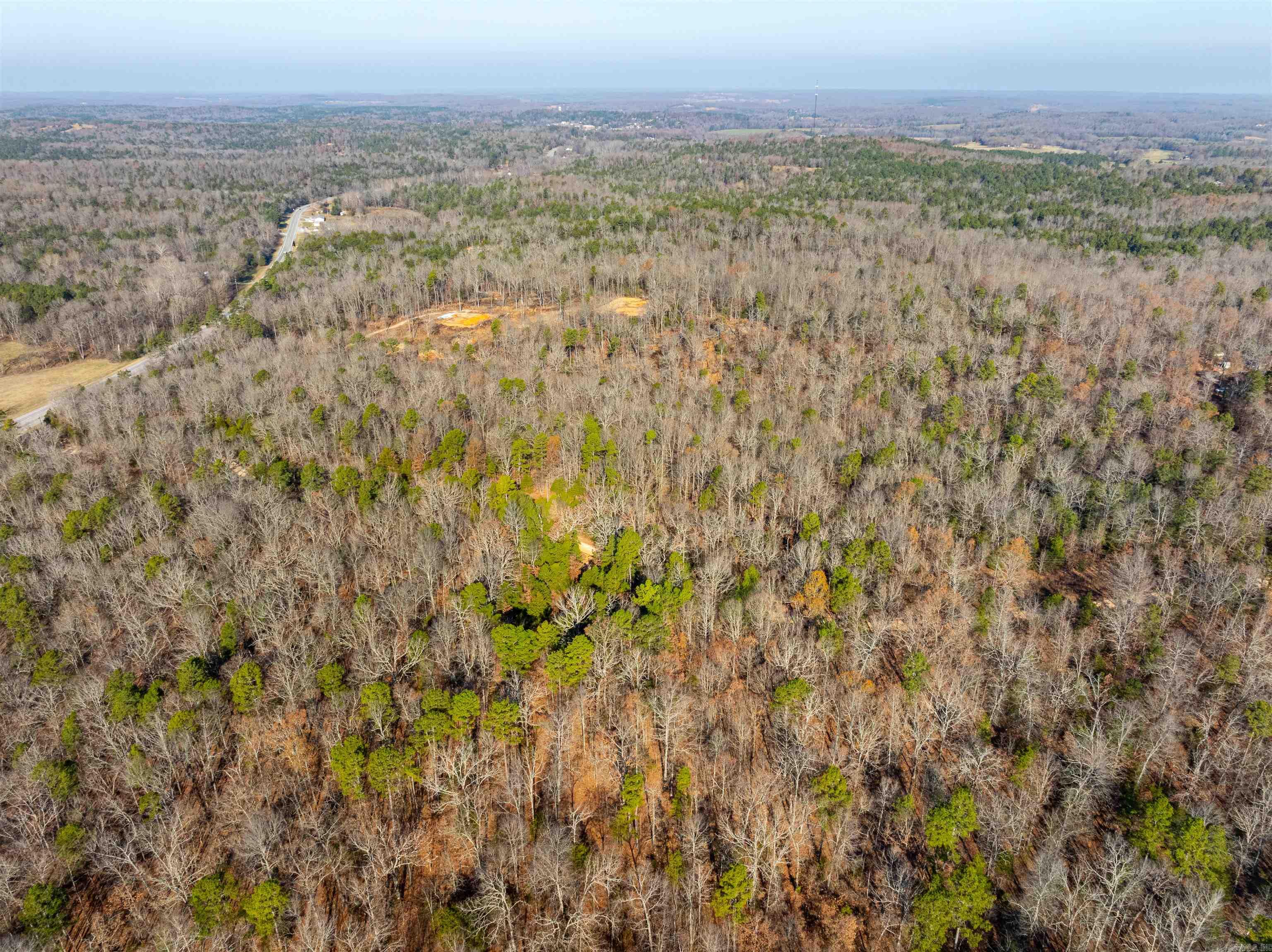 Photo 16 - Vacant Land for sale – 0  Hancock lane / Hwy. 167   Evening Shade, AR