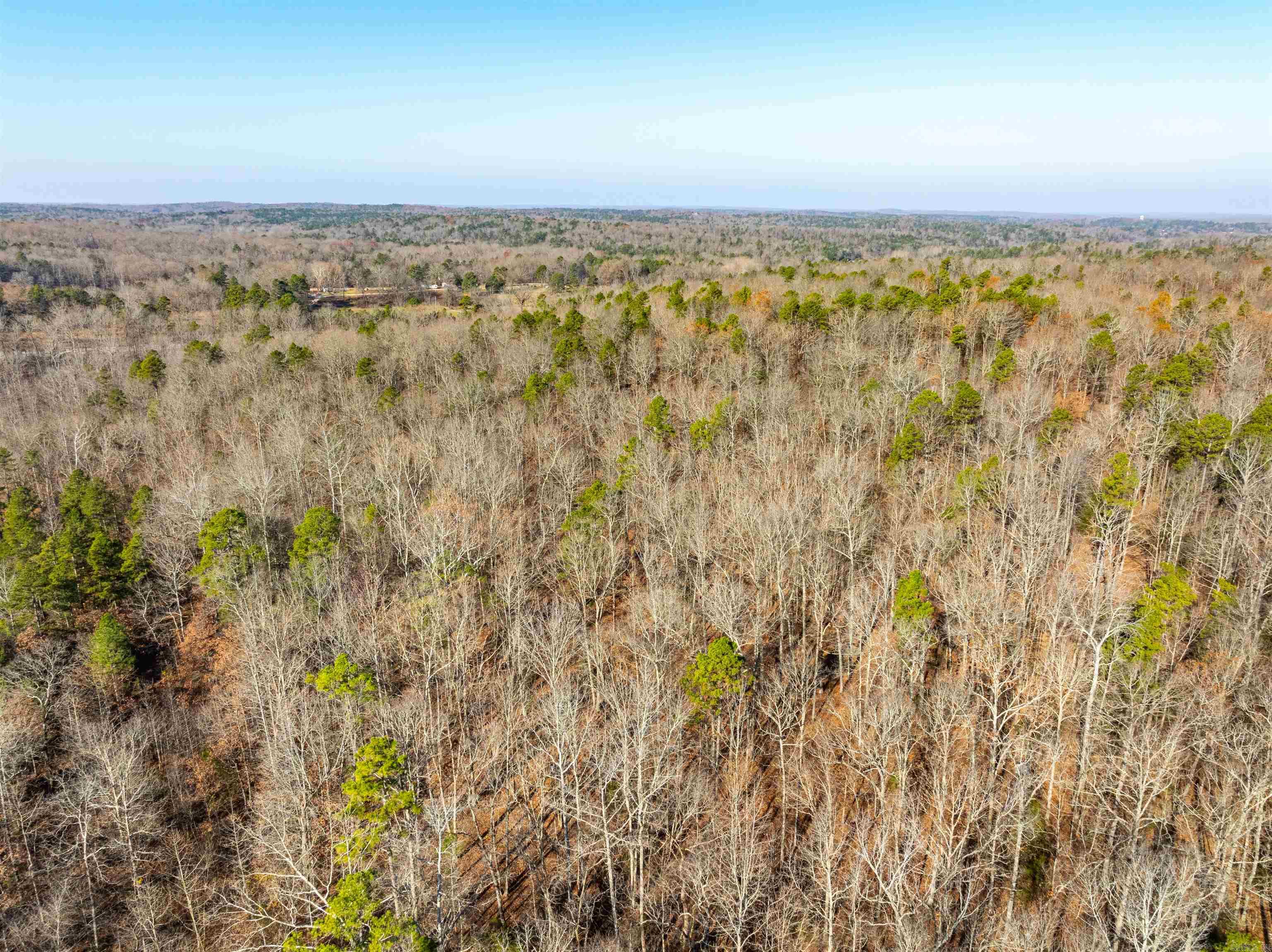 Photo 18 - Vacant Land for sale – 0  Hancock lane / Hwy. 167   Evening Shade, AR