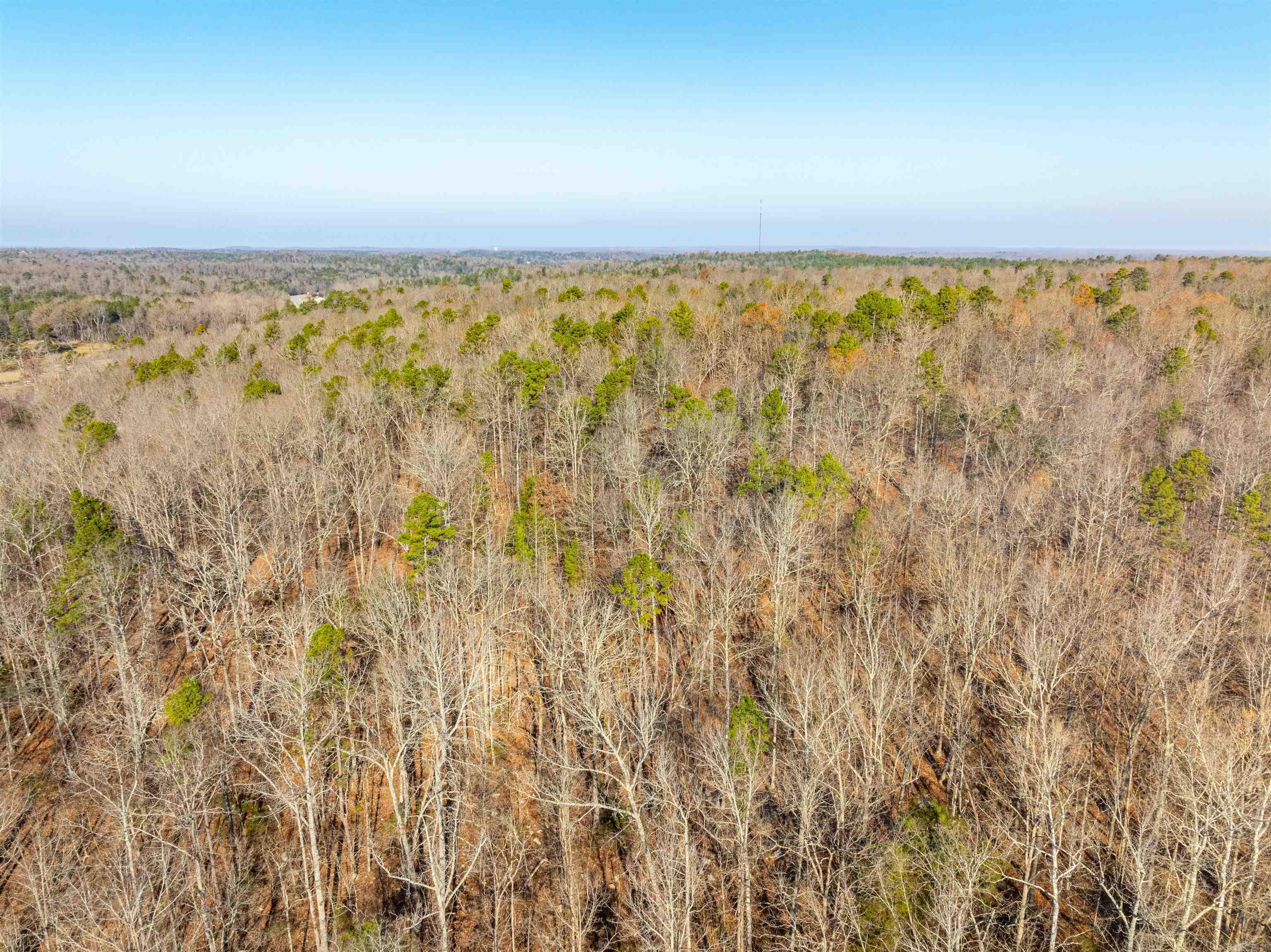 Photo 19 - Vacant Land for sale – 0  Hancock lane / Hwy. 167   Evening Shade, AR