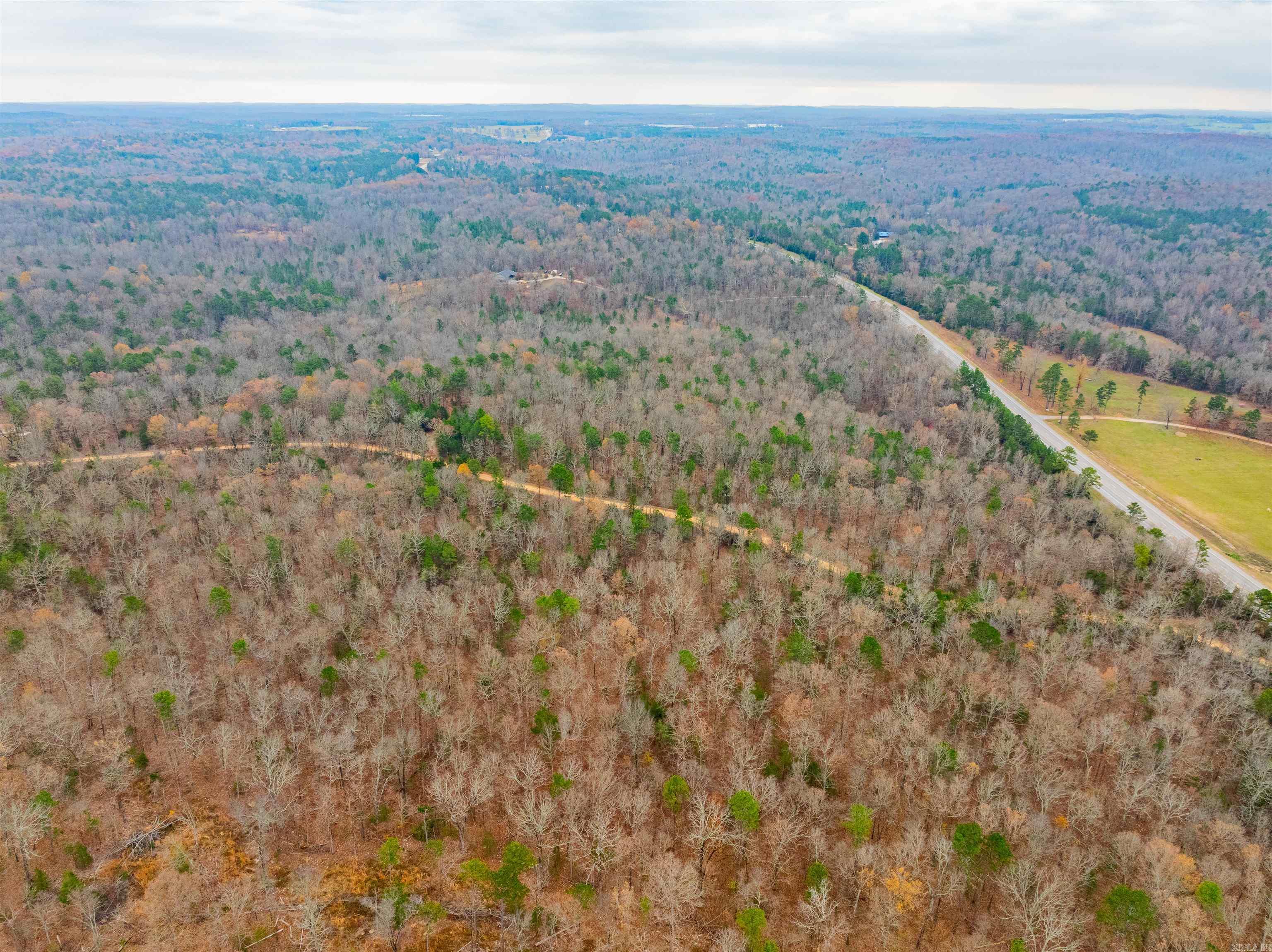 Photo 3 - Vacant Land for sale – 0  Hancock lane / Hwy. 167   Evening Shade, AR