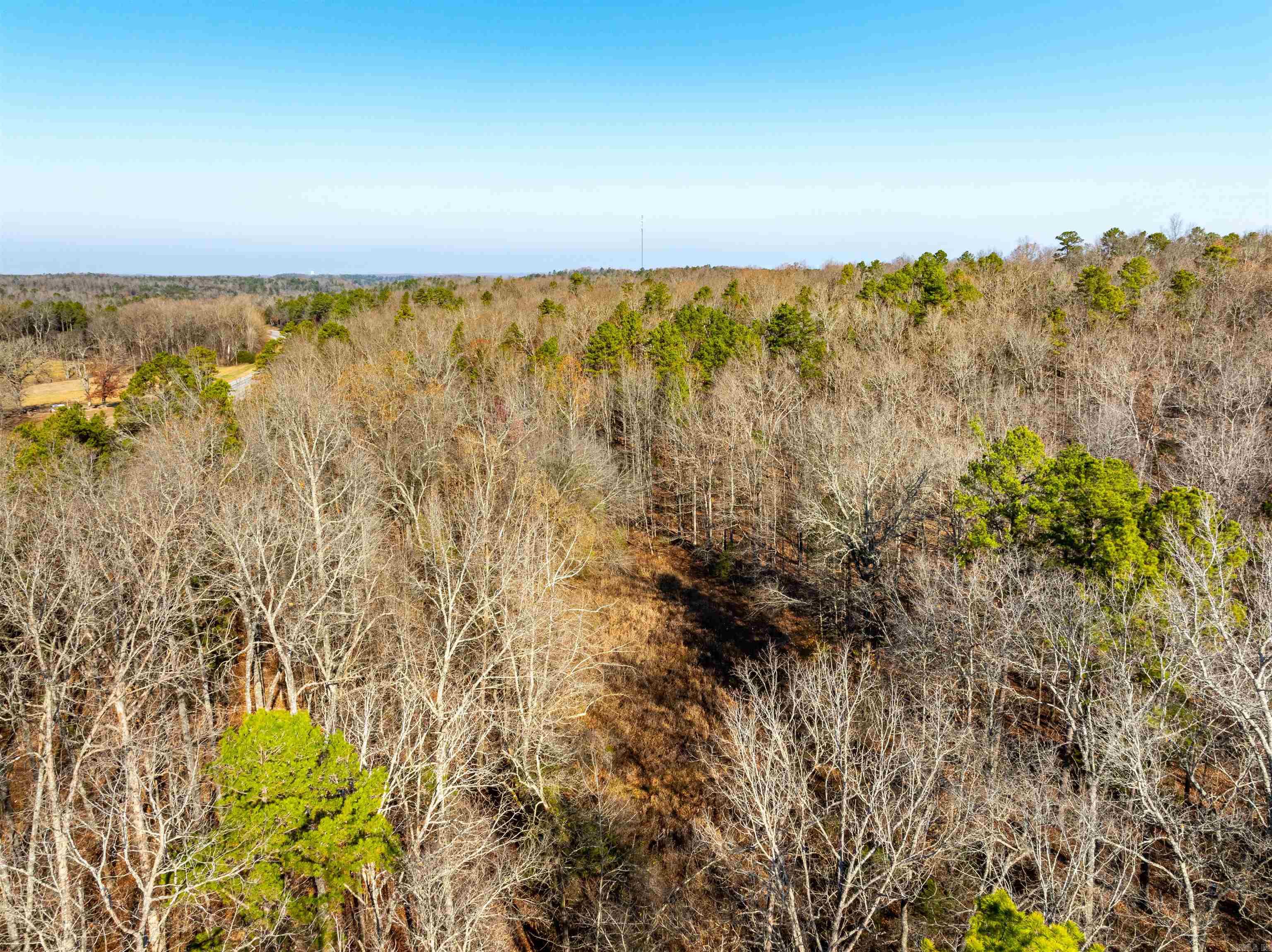 Photo 21 - Vacant Land for sale – 0  Hancock lane / Hwy. 167   Evening Shade, AR
